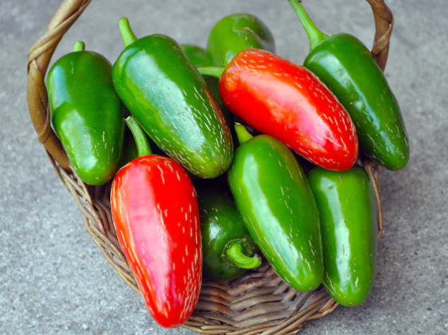 Hot Pepper Jalapeno 002.png