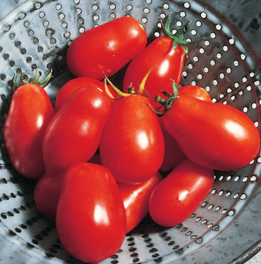 Tomato Roma VF Italian 002.png