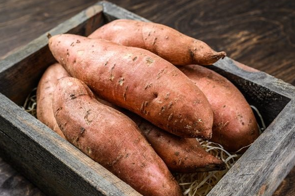 Sweet Potato Beauregard 001.png