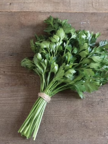Parsley Flat Italian 003.png