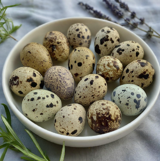 Quail Eggs 001.png