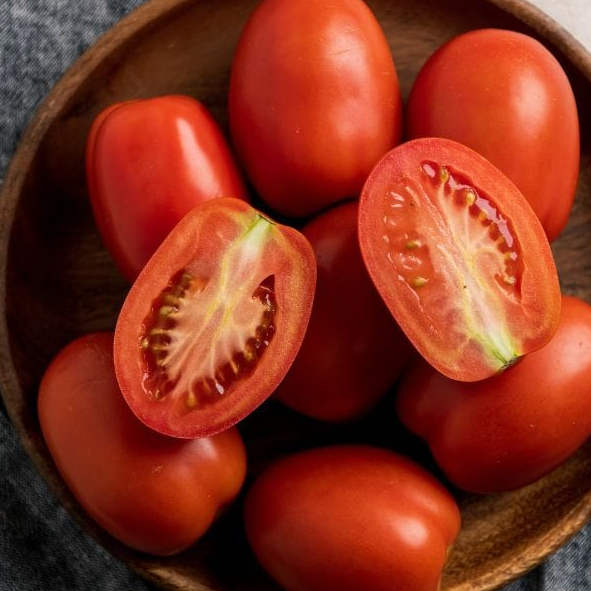 Tomato Roma 003.png