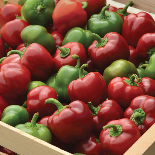 Sweet Pepper Snackabelle 001.png