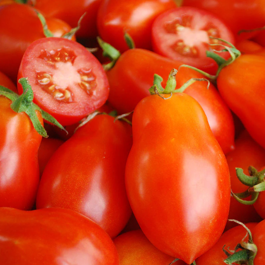 Tomato Roma VF Italian 001.png