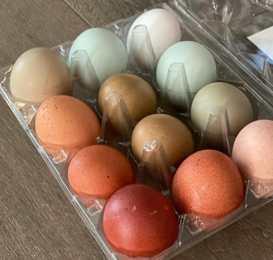 Farm Fresh Eggs 001.png