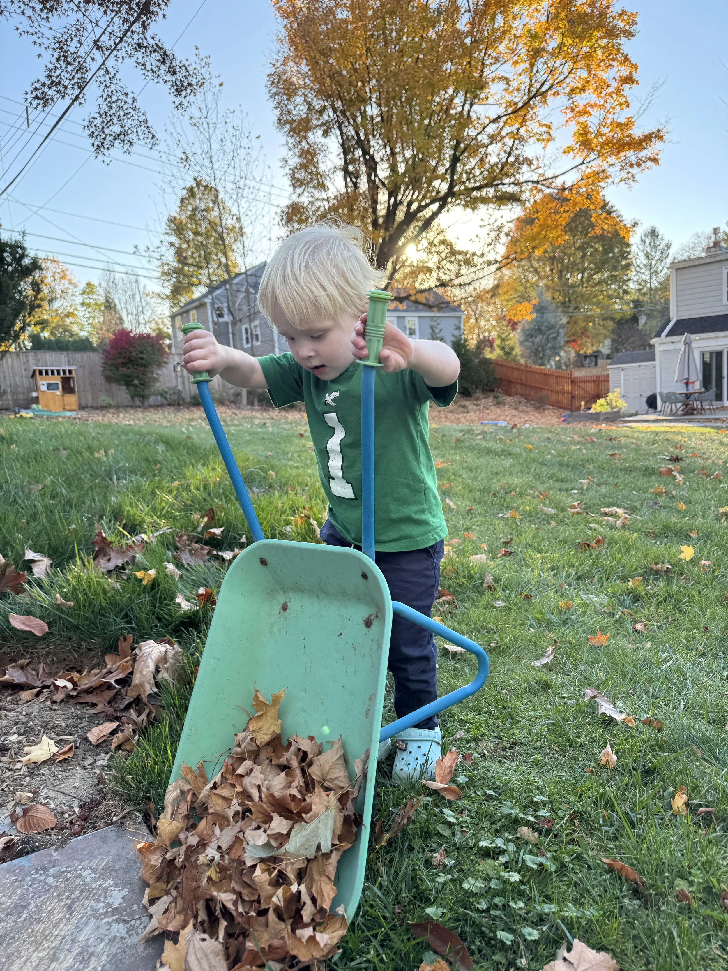A young boy with blonde hair wearing a green shirt and blue crocs raking fallen autumn leaves into a green wheelbarrow in a backyard with trees, houses, and a blue sky in the background.