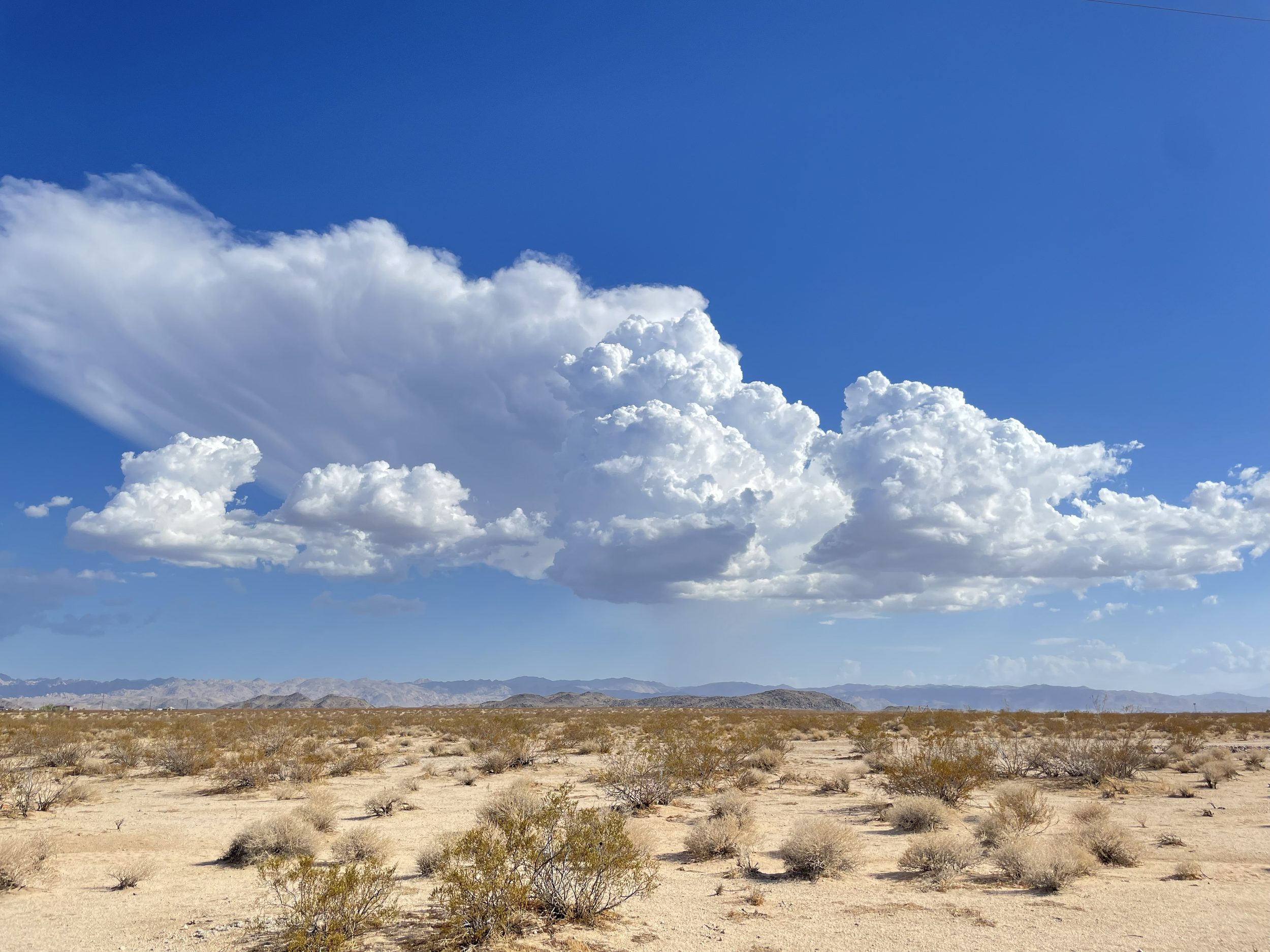 Awe striking white voluminous clouds billow over the desert surrounding Dhamma Dena, in front of a wash of vivid blue sky. A feeling of expansiveness