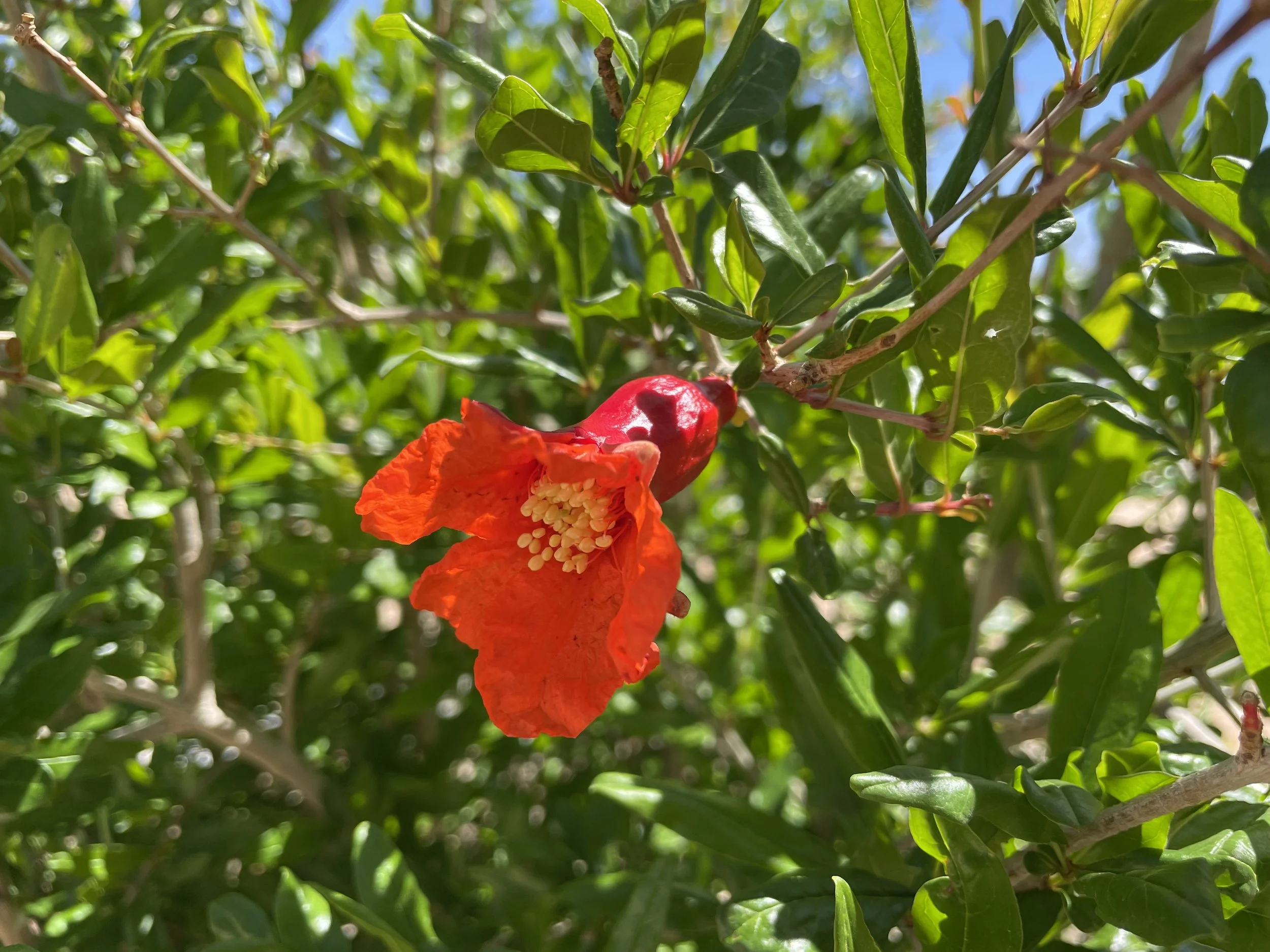 Community Meeting — Following Up (new date!)