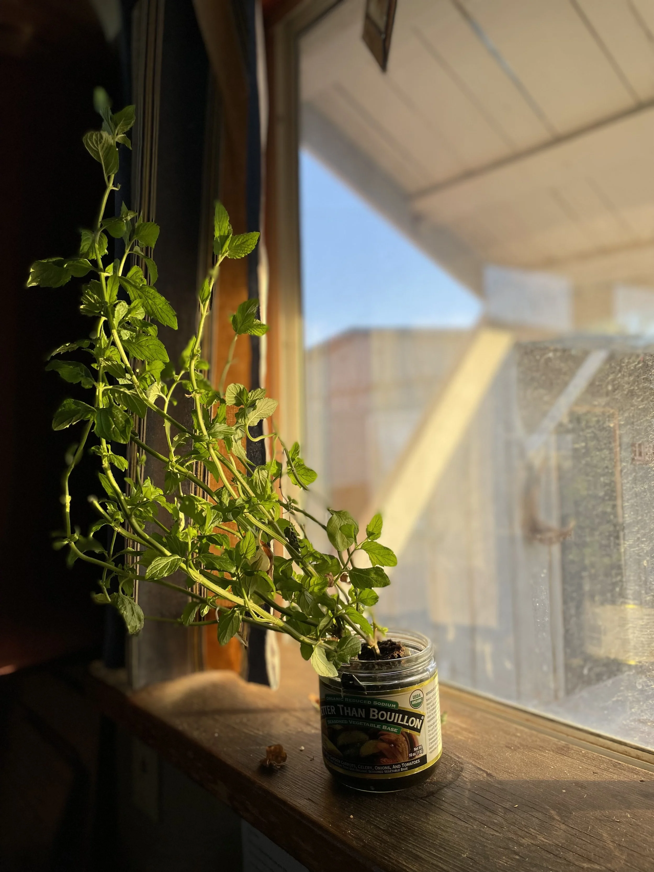 Community Meeting — September ‘25