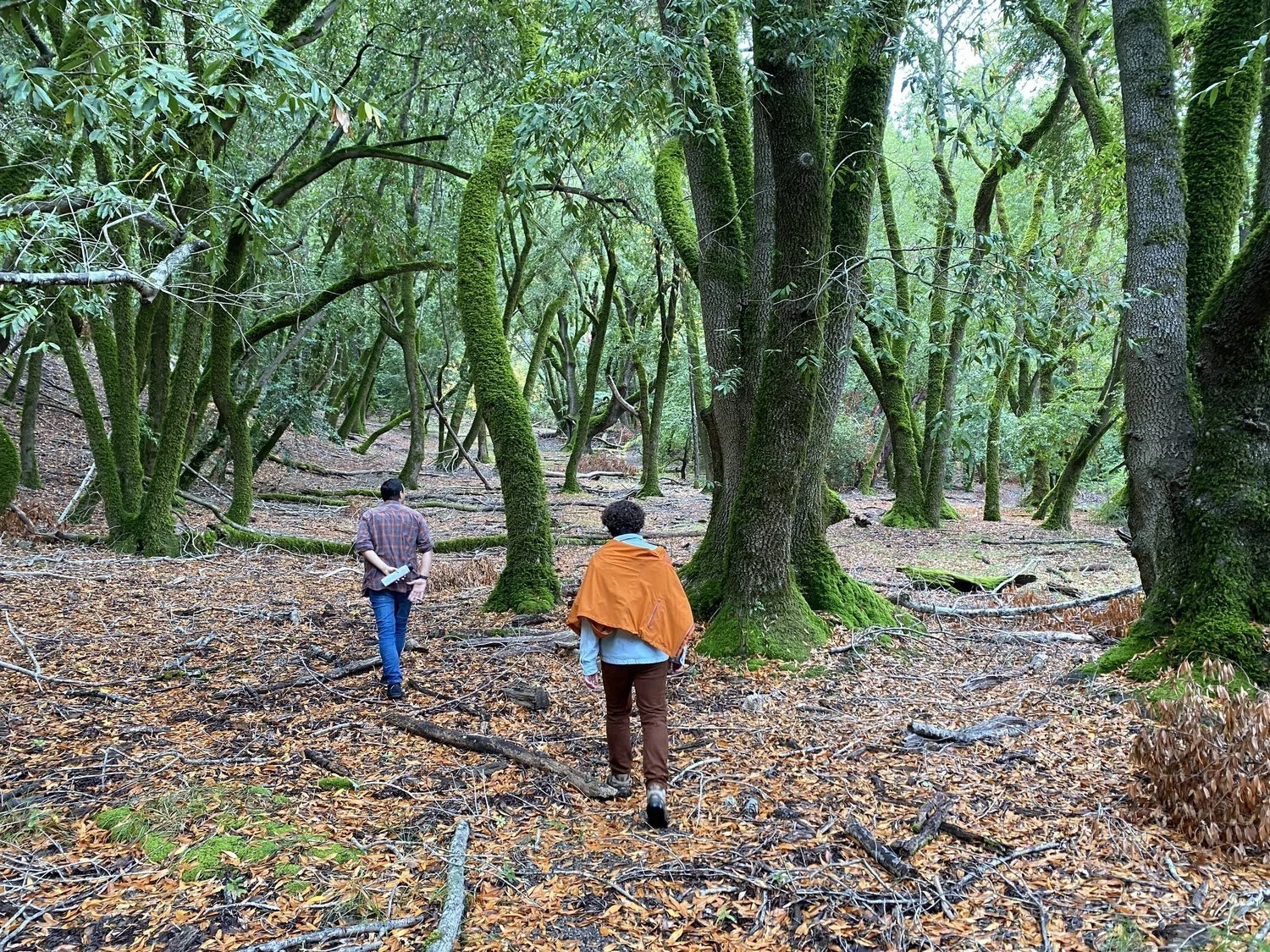 Meeting Each Moment with Love: A QTBIPOC Strong/BIPOC Retreat Centering Refuge, Rest, Compassion and Visioning