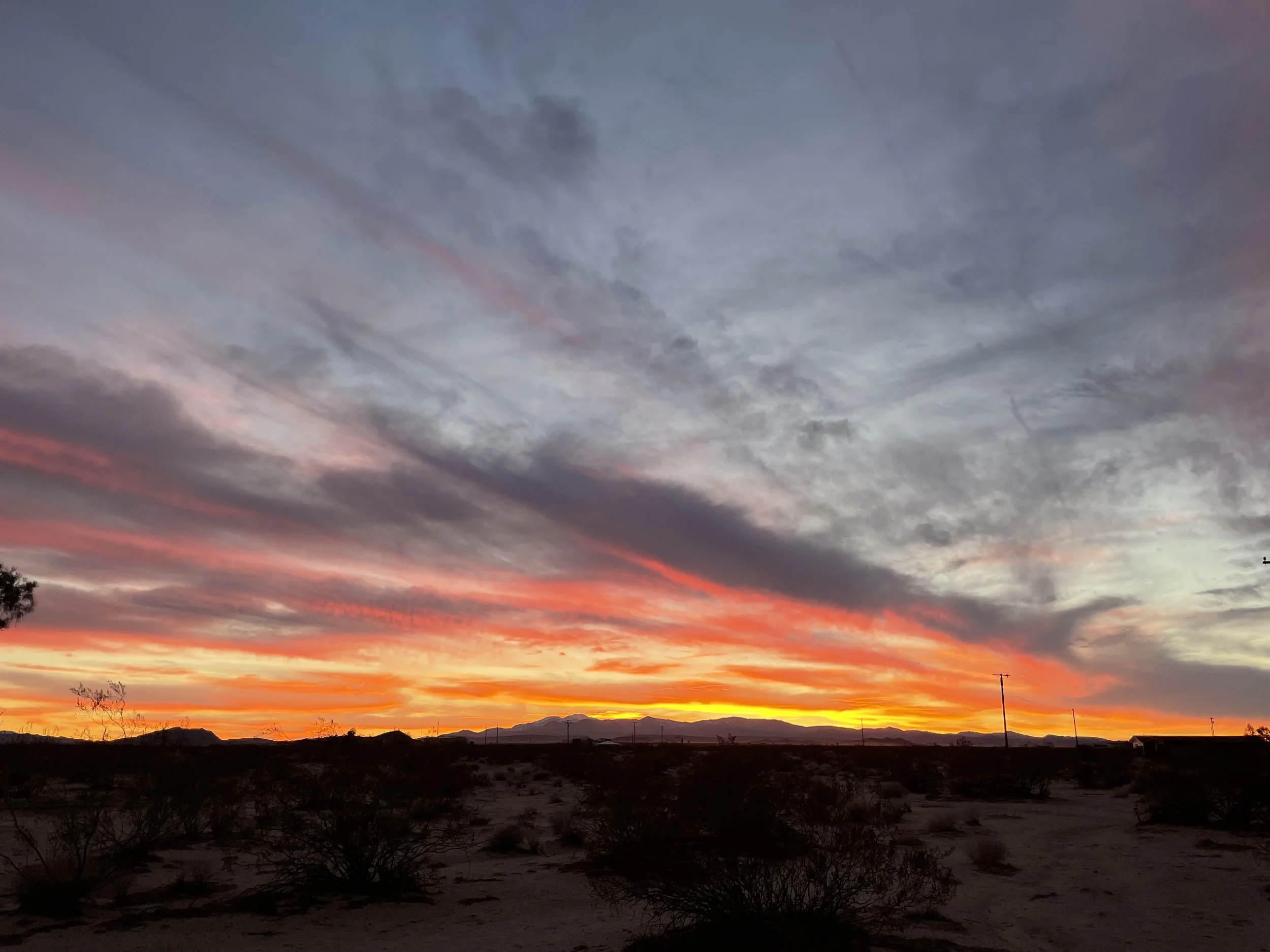 Sunset over Joshua Tree, CA