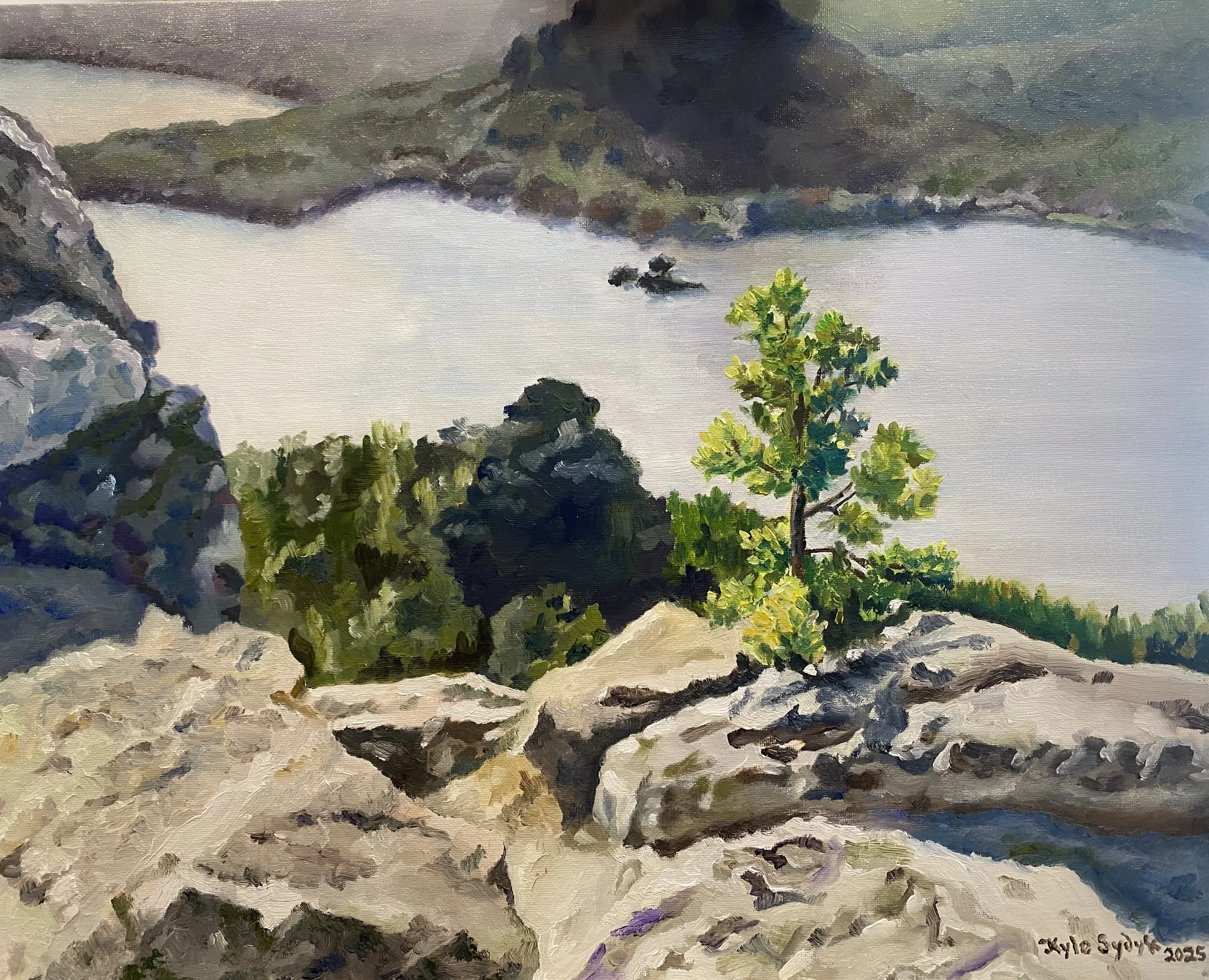Piney Point, 16"x20", oil on canvas (private collection)