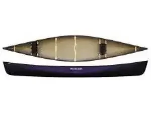 Top view of a black and beige canoe with interior paddles.