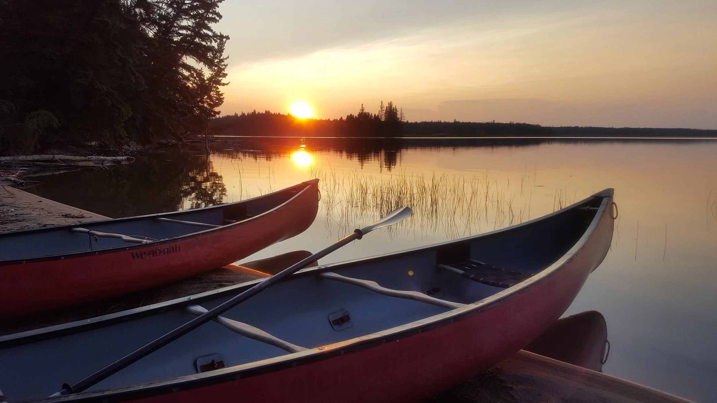 Paddle