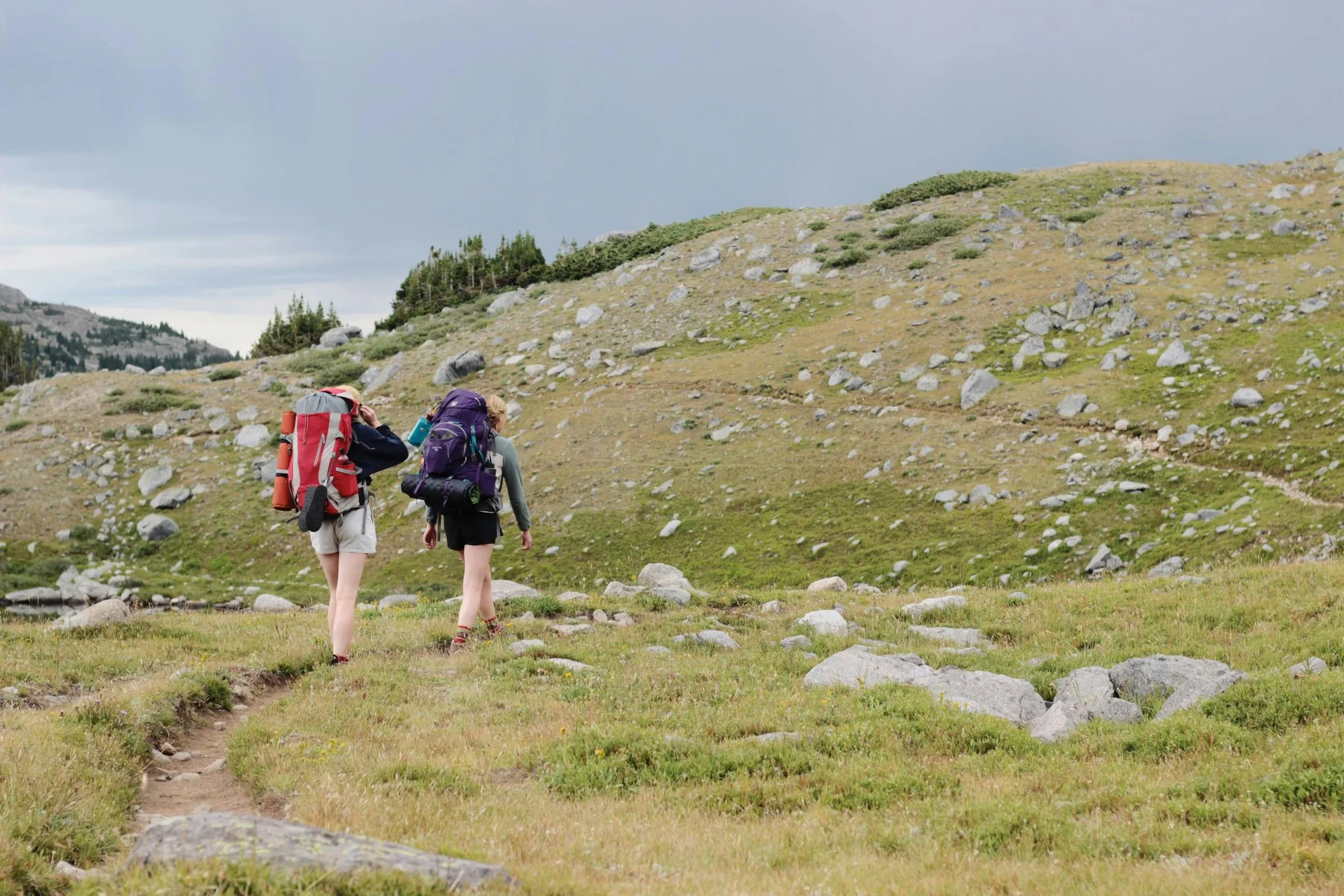 Camp & Backpacking