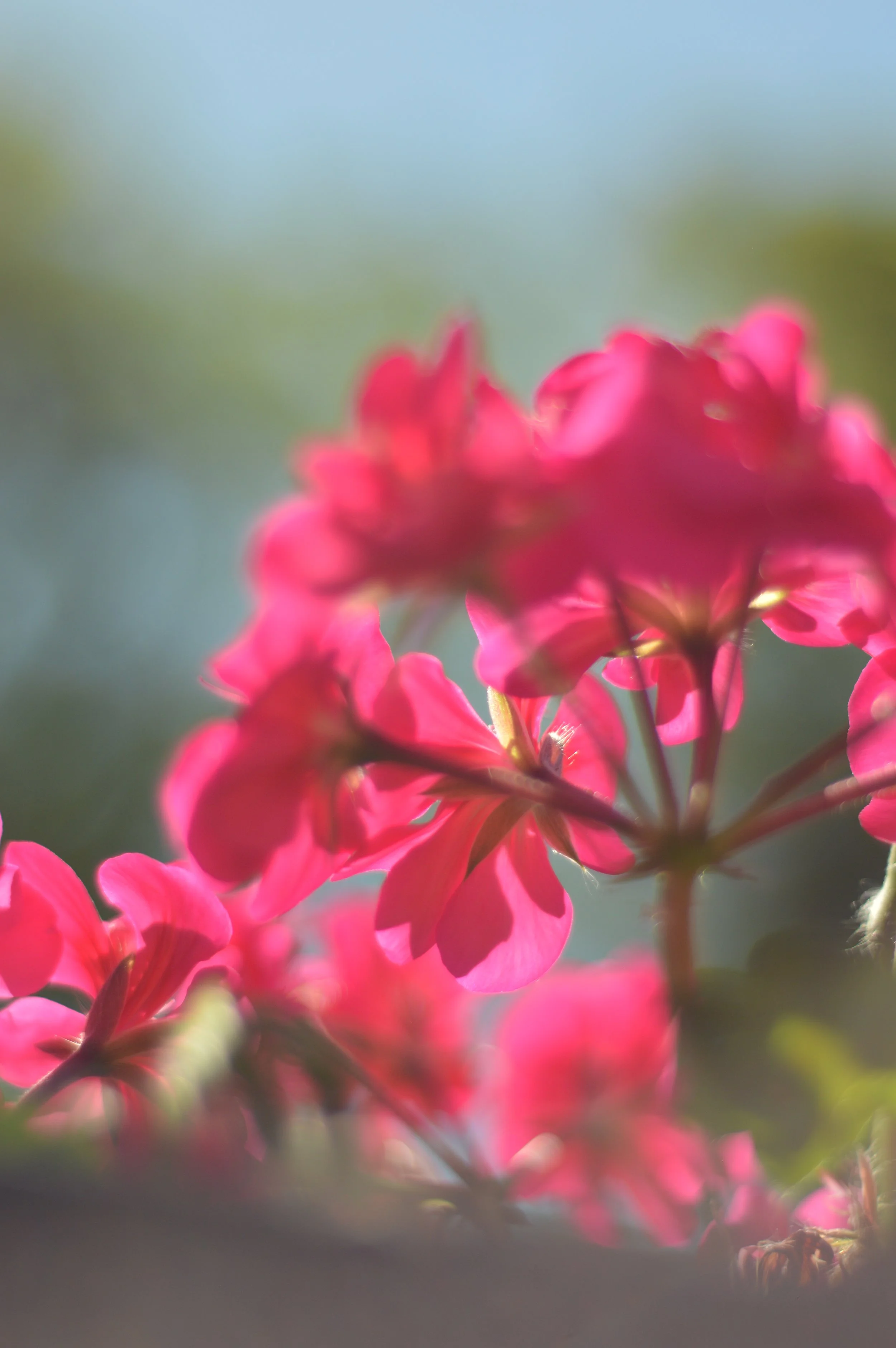 Leonardo Reyna photography