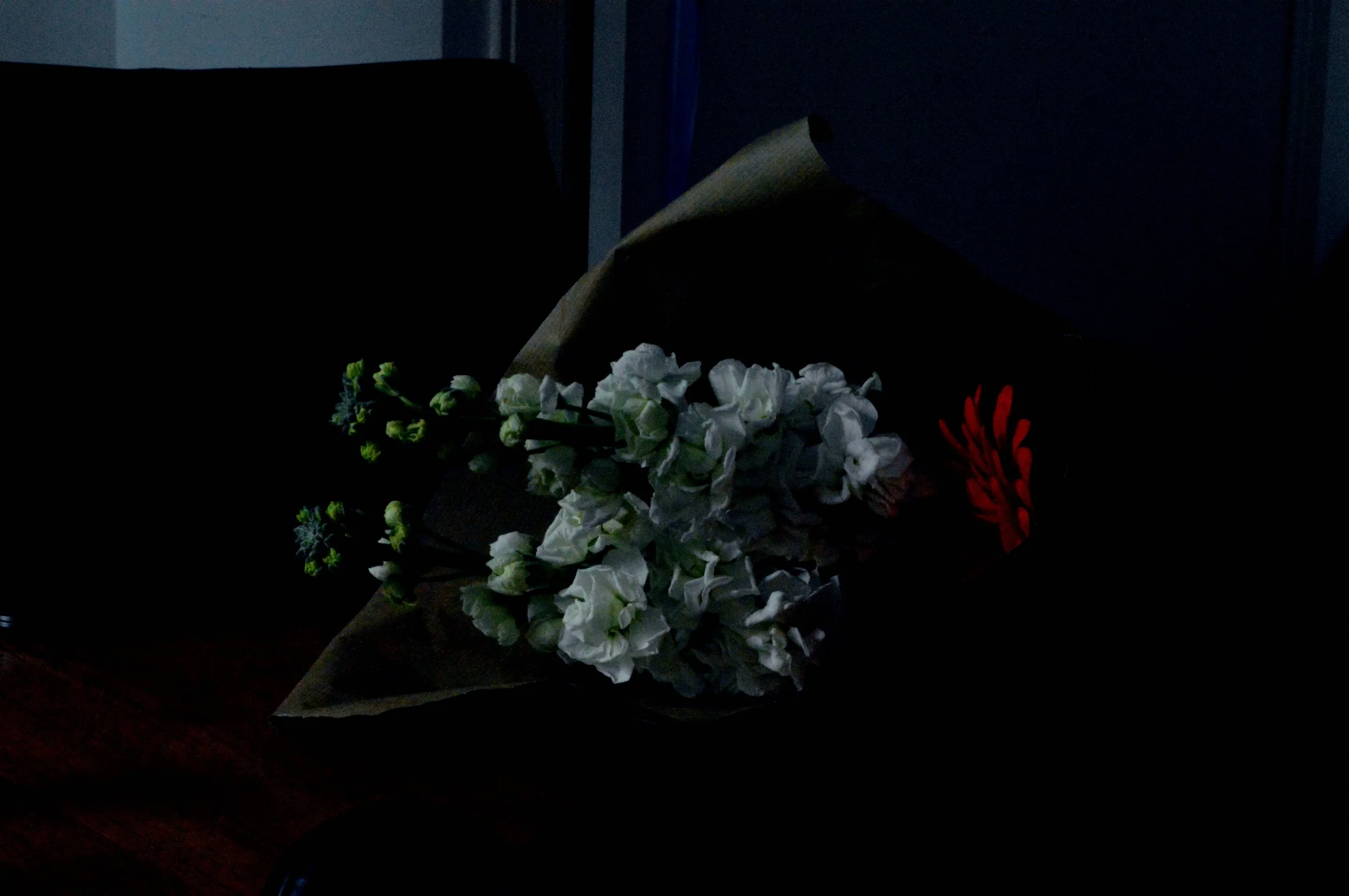 Leonardo Reyna photography