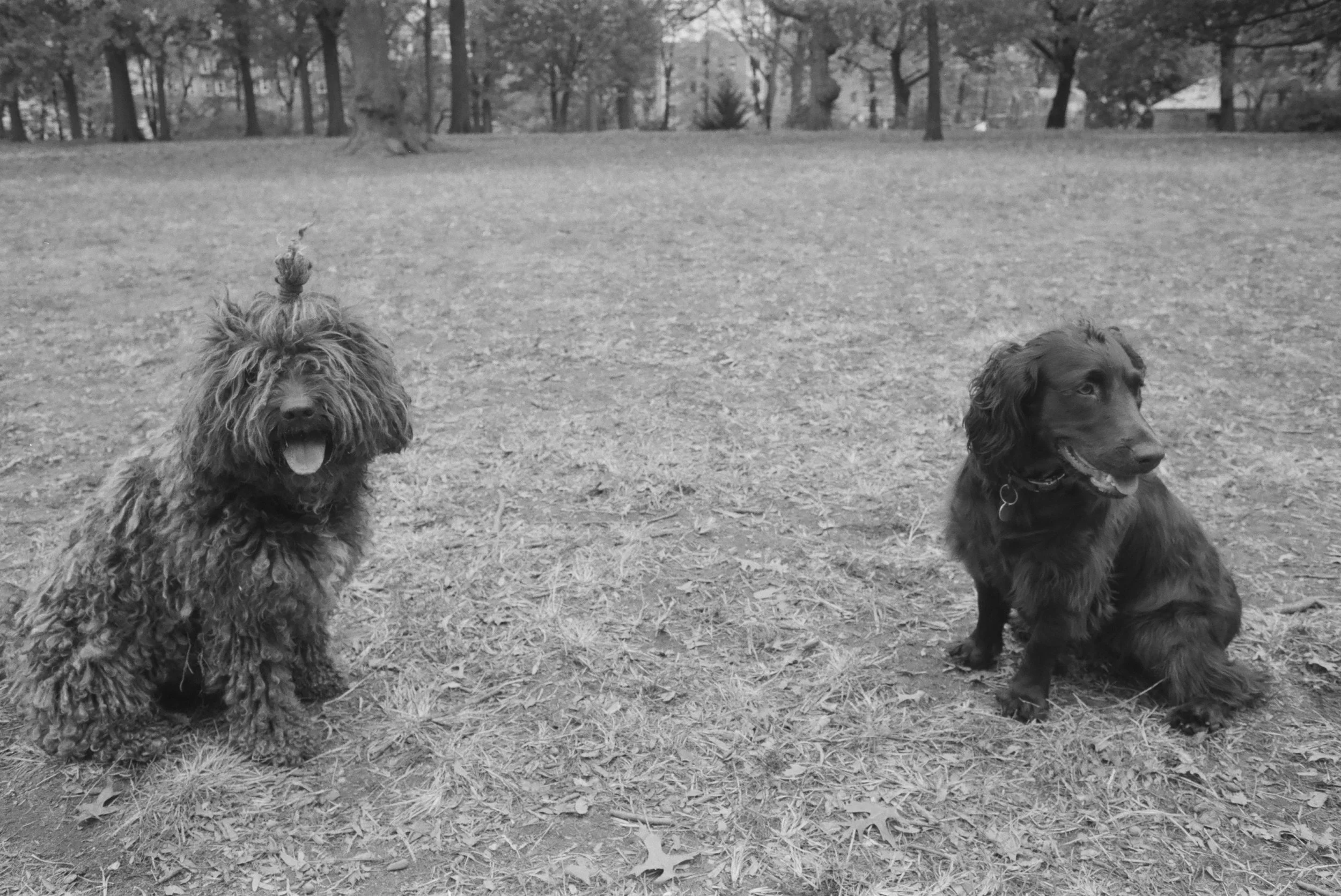 Leonardo Reyna photography