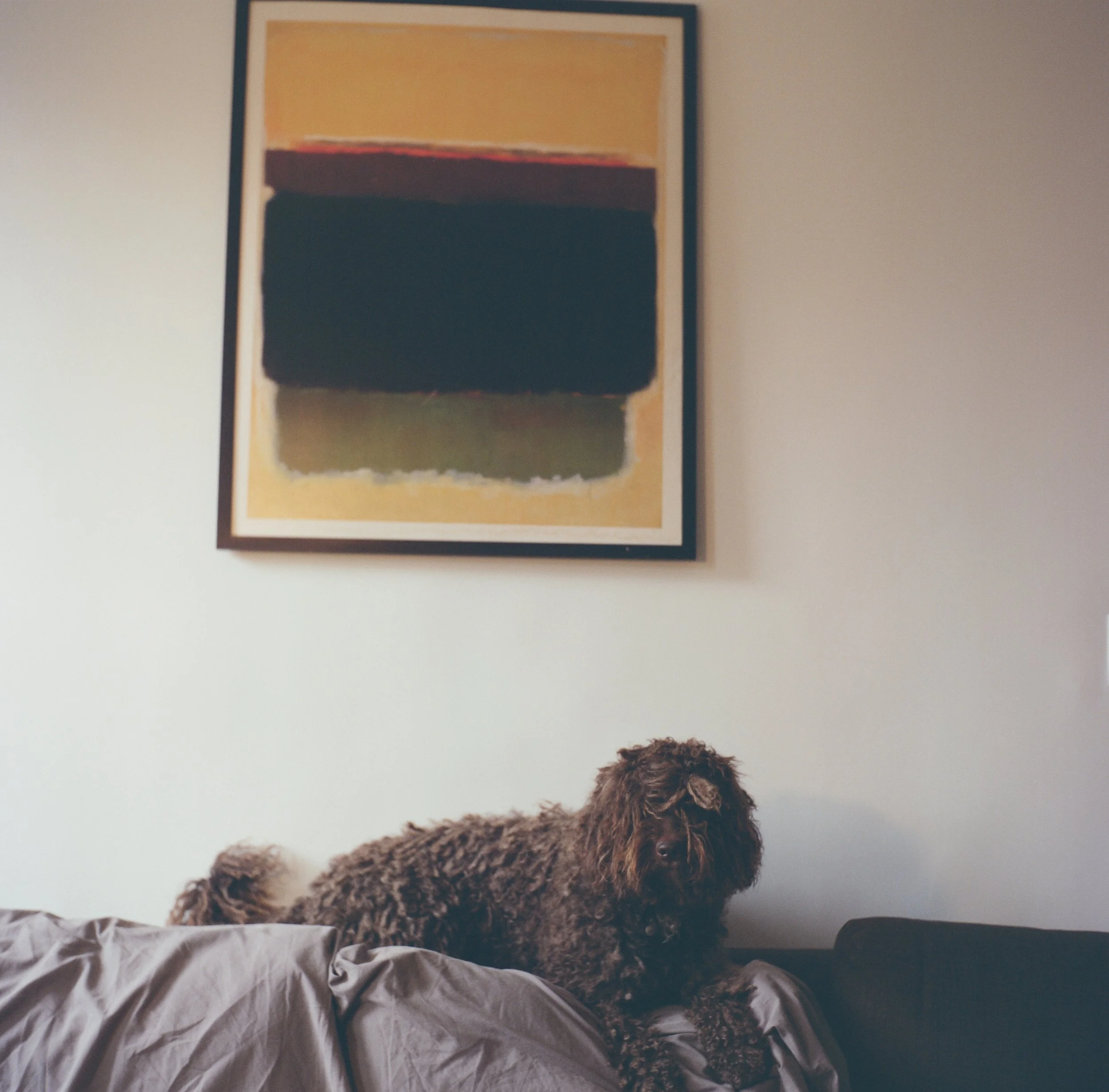 Leonardo Reyna photography