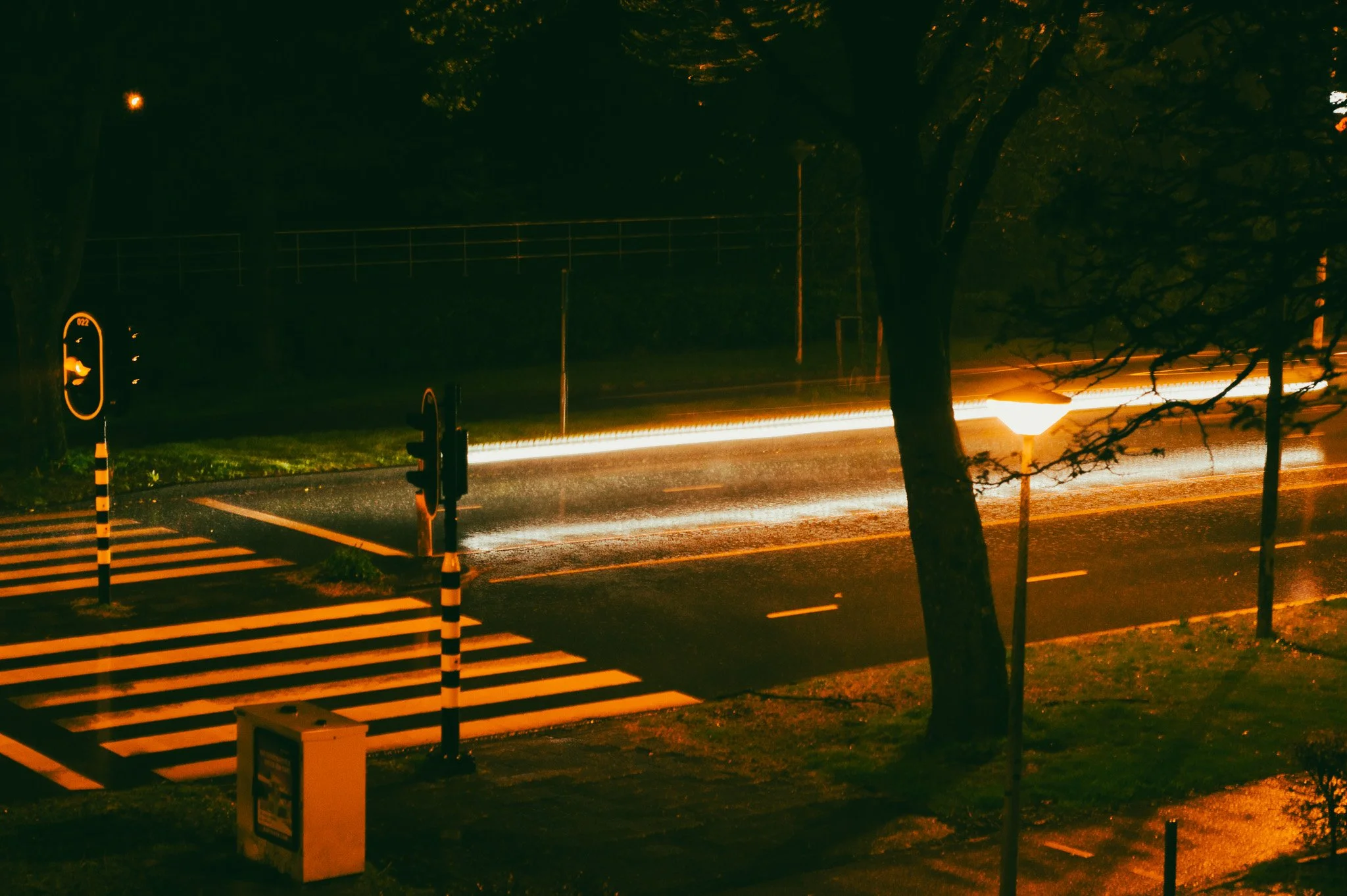 Nighttime scene of a city intersection showing blurred light trails of passing vehicles, a pedestrian crosswalk, traffic lights, streetlights, and trees with leaves visible in the foreground.