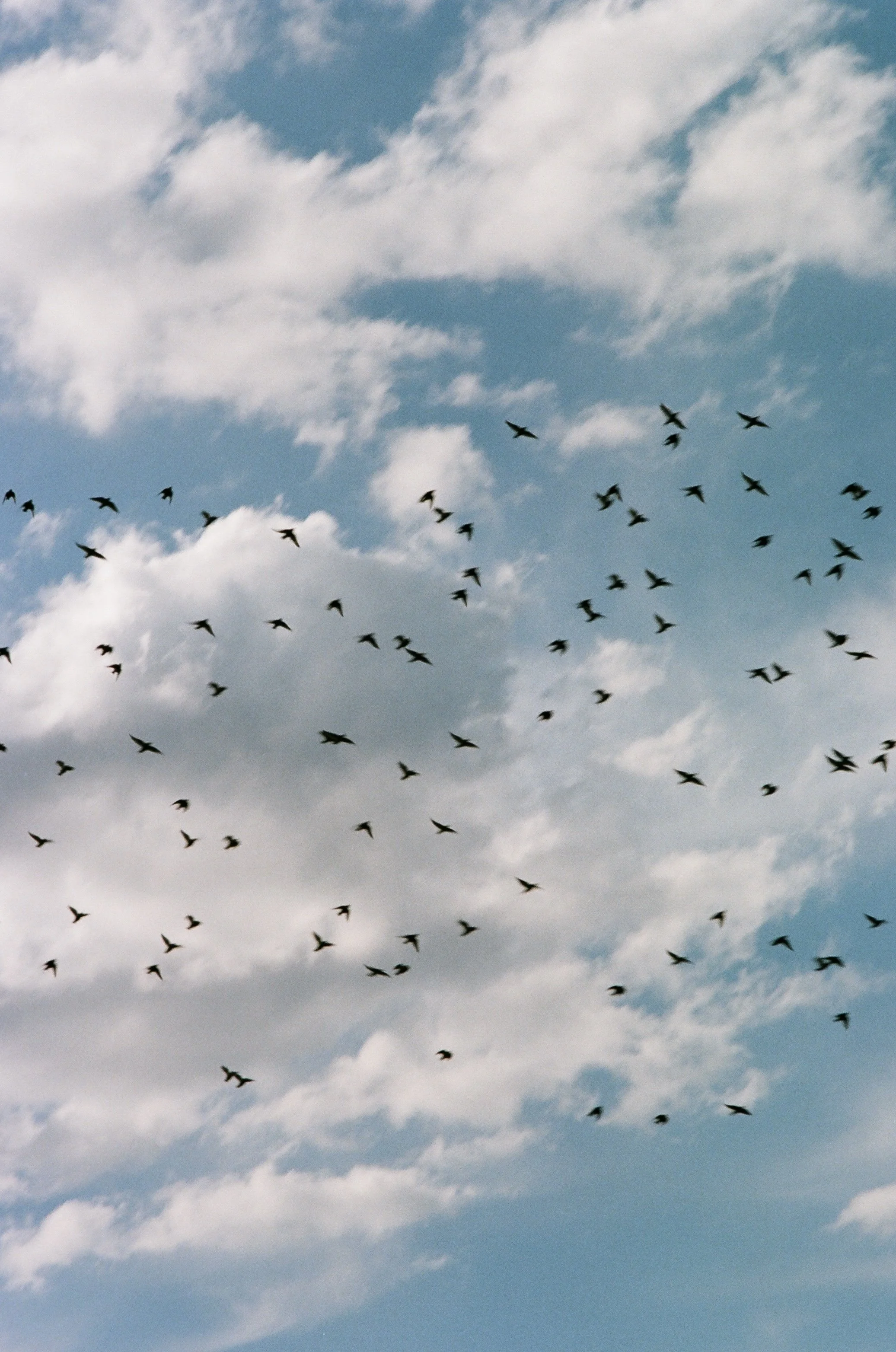 Leonardo Reyna photography