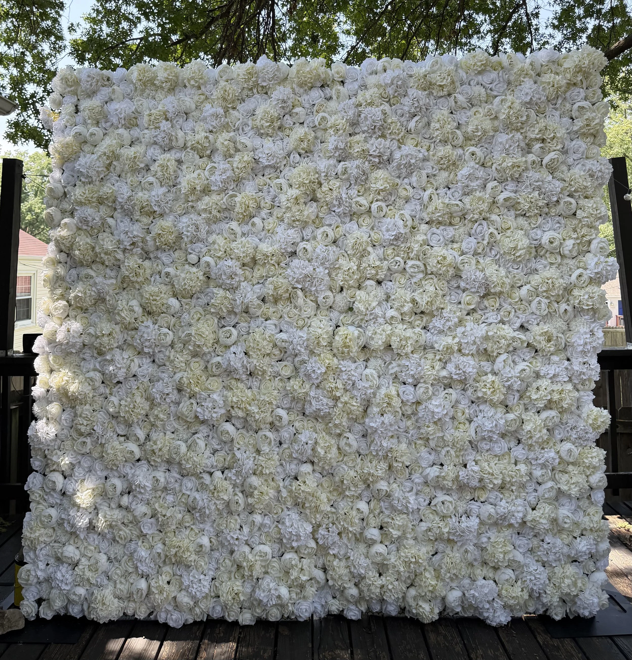White Rose