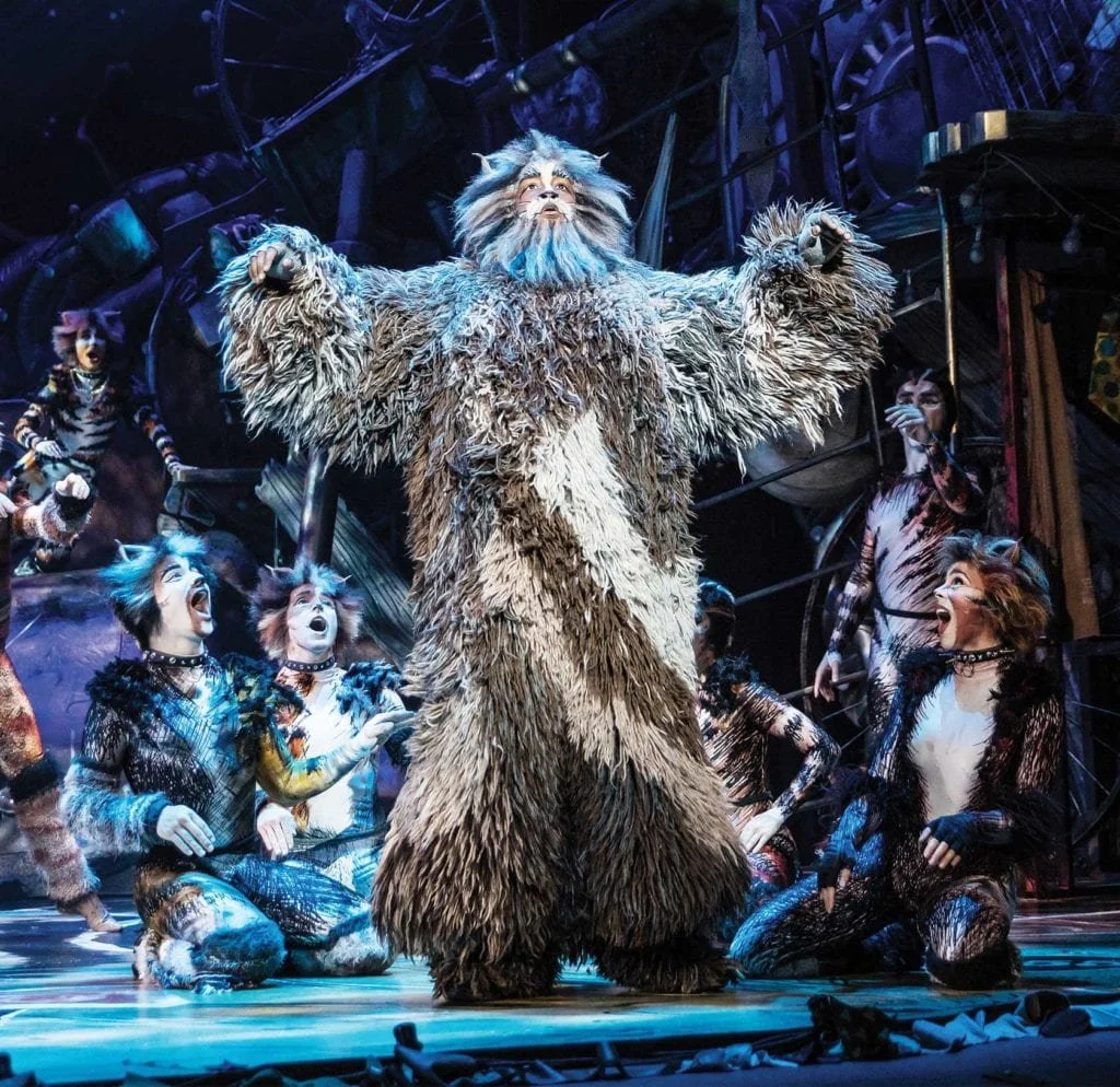 Brandon Michael Nase in CATS