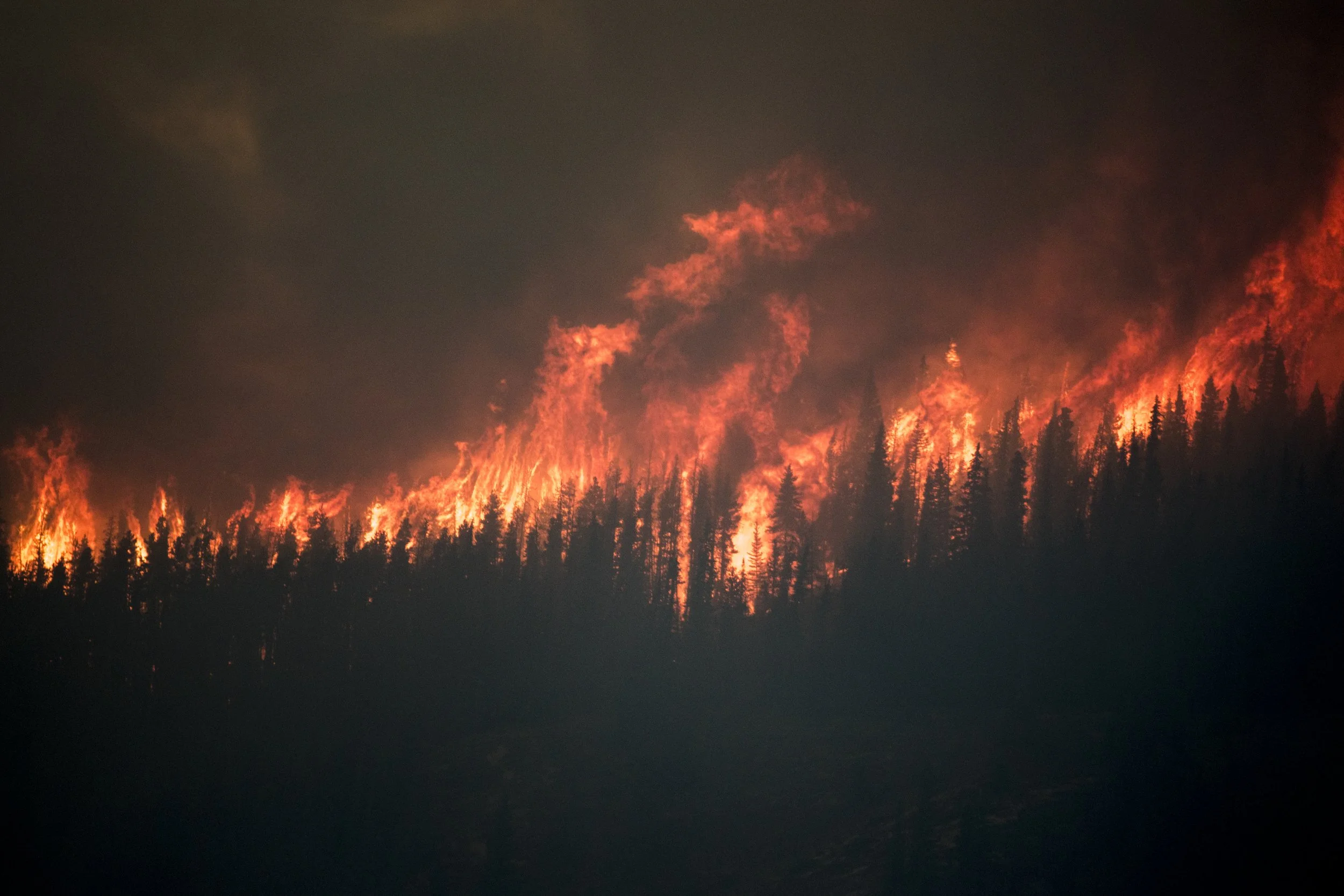 a-wildfire-engulfs-the-chetamon-region-in-the-cana-2026-01-05-06-05-18-utc.jpg