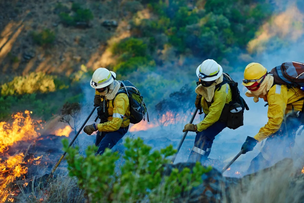 Wildland firefighters pushing back flames
