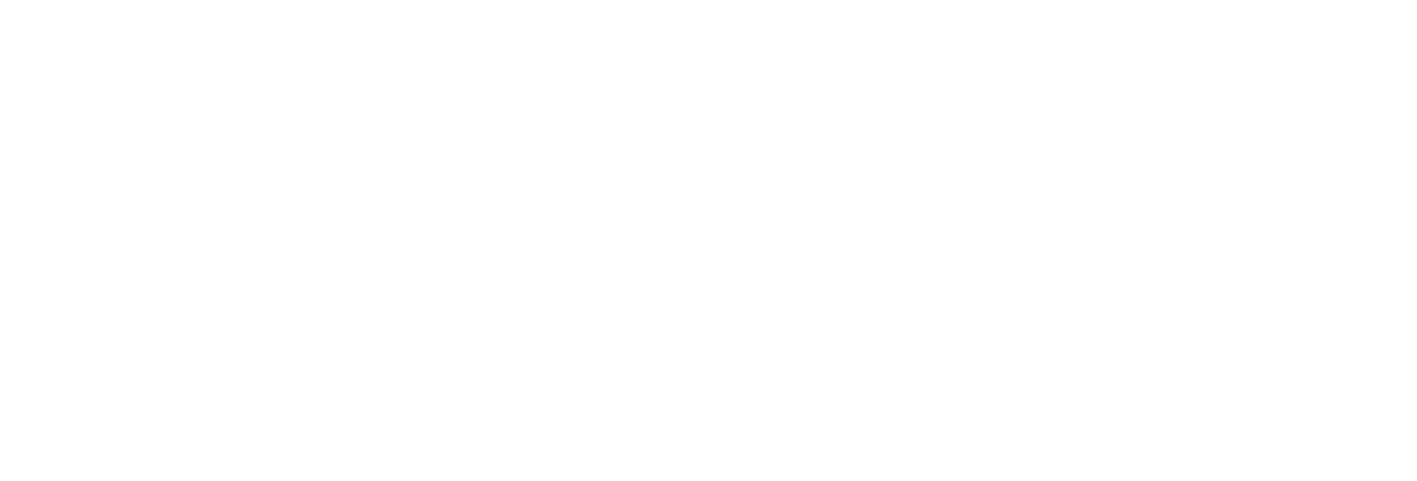 RVFix