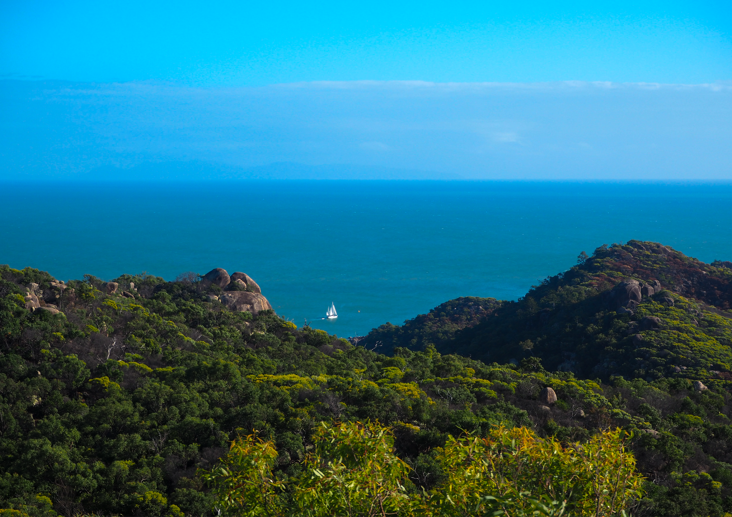 A coastal view with dense green trees in the foreground, a sailboat on the water, and a clear blue sky with some light clouds.