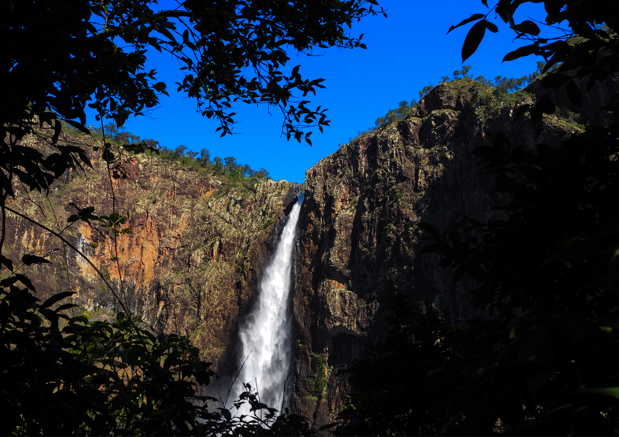A waterfall cascading down a rocky cliff surrounded by lush green trees and foliage under a clear blue sky.