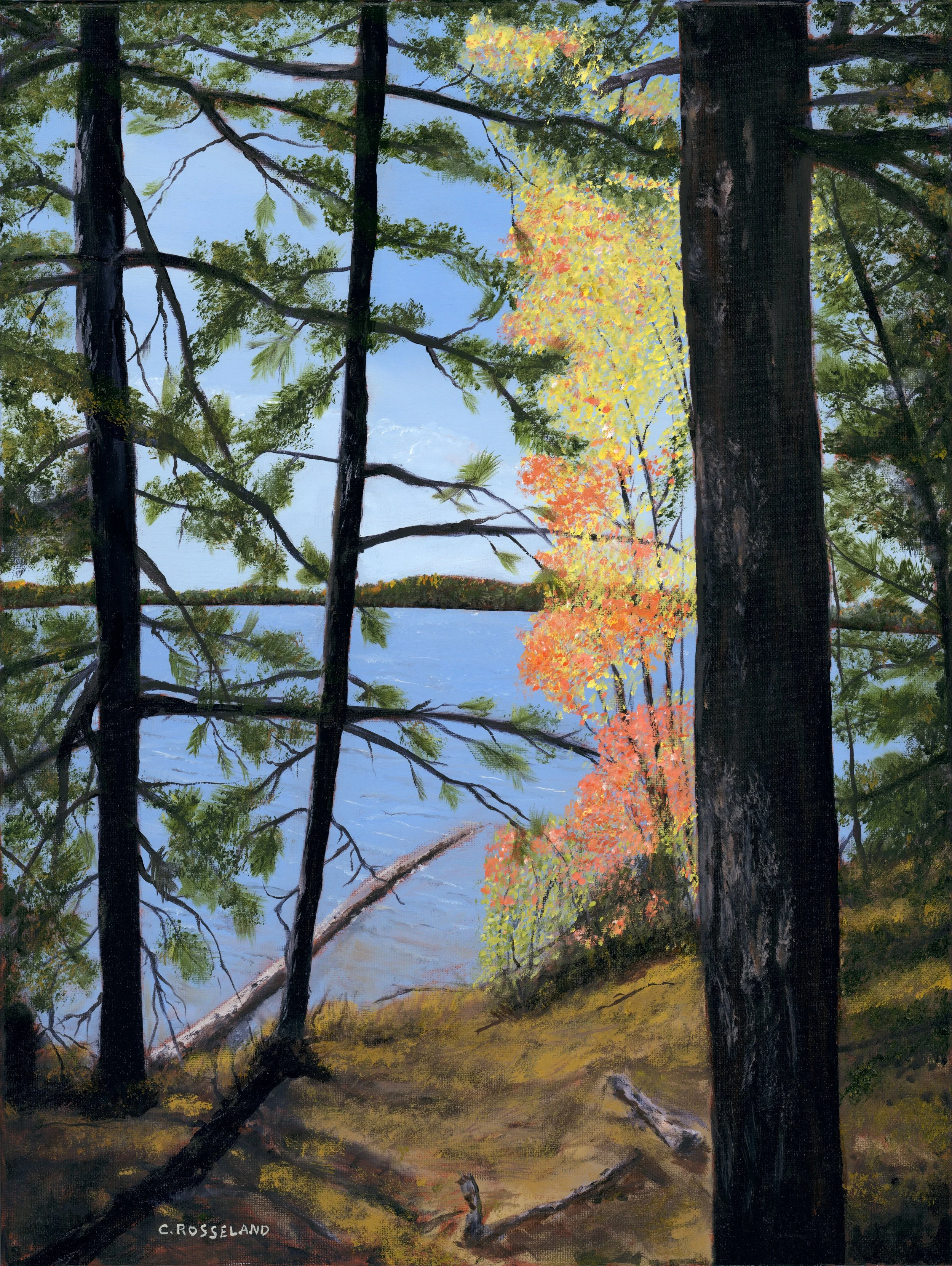 View through trees.jpg