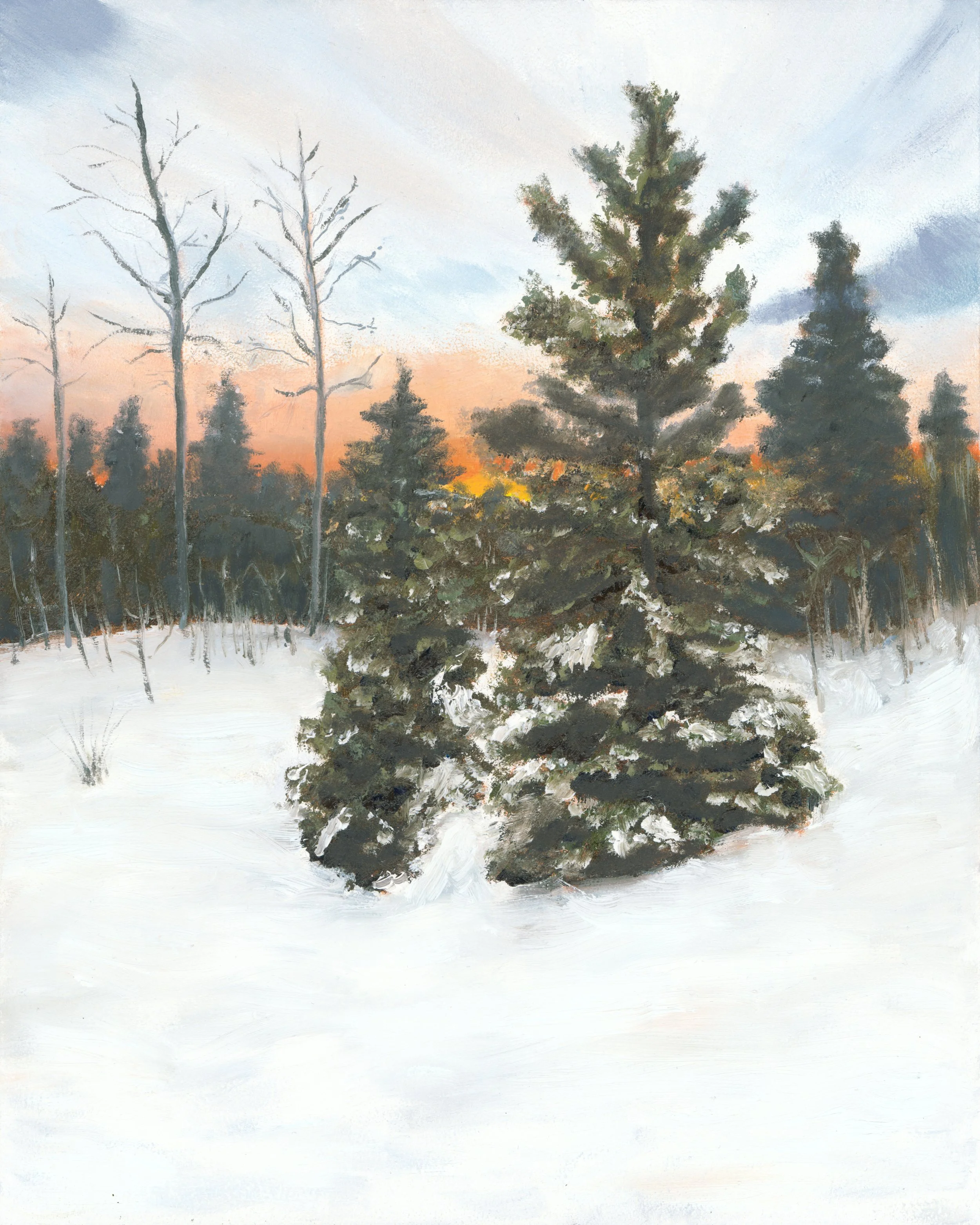 Upper Michigan Winter.jpg