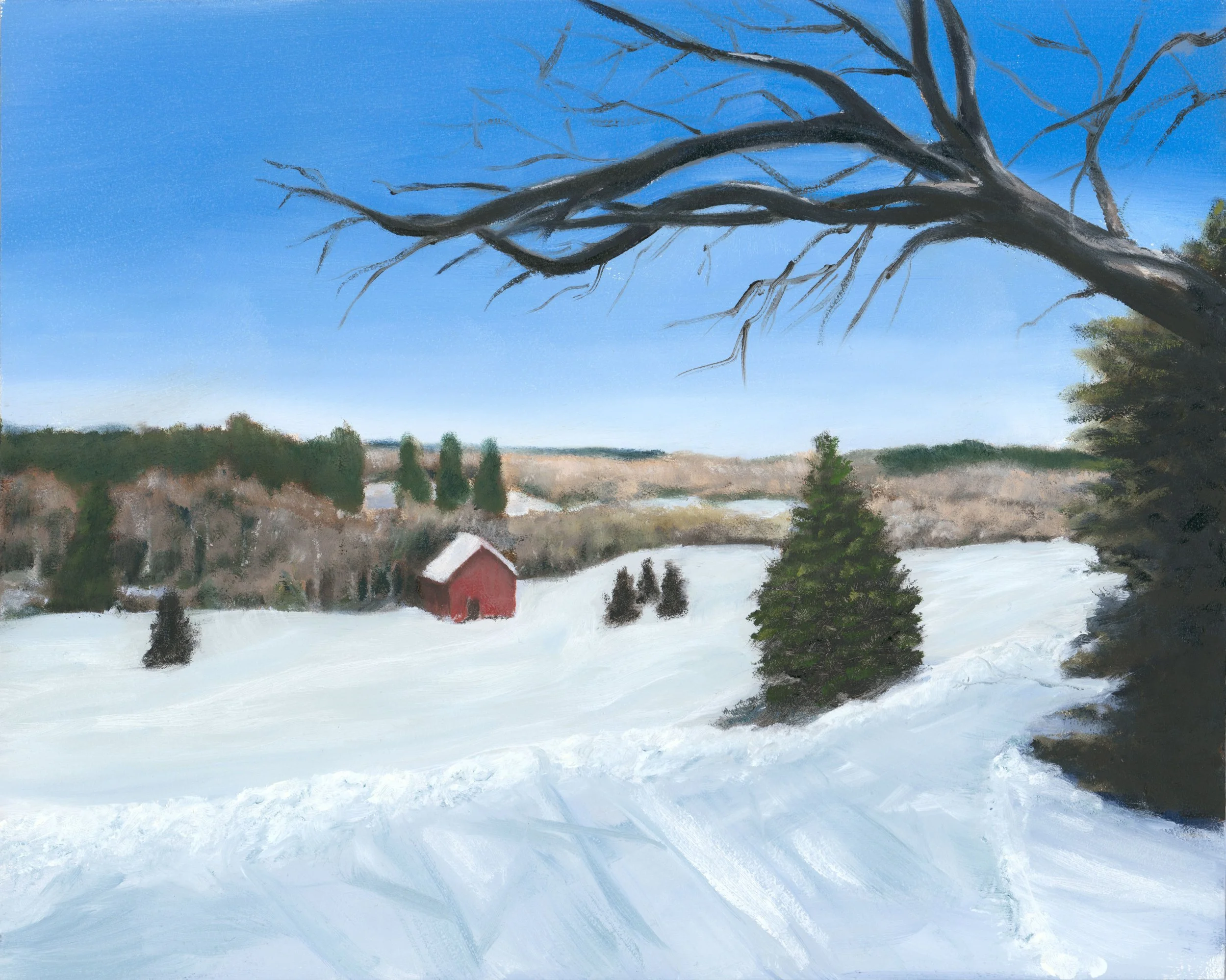 Winter in Cental Wisconsin.jpg