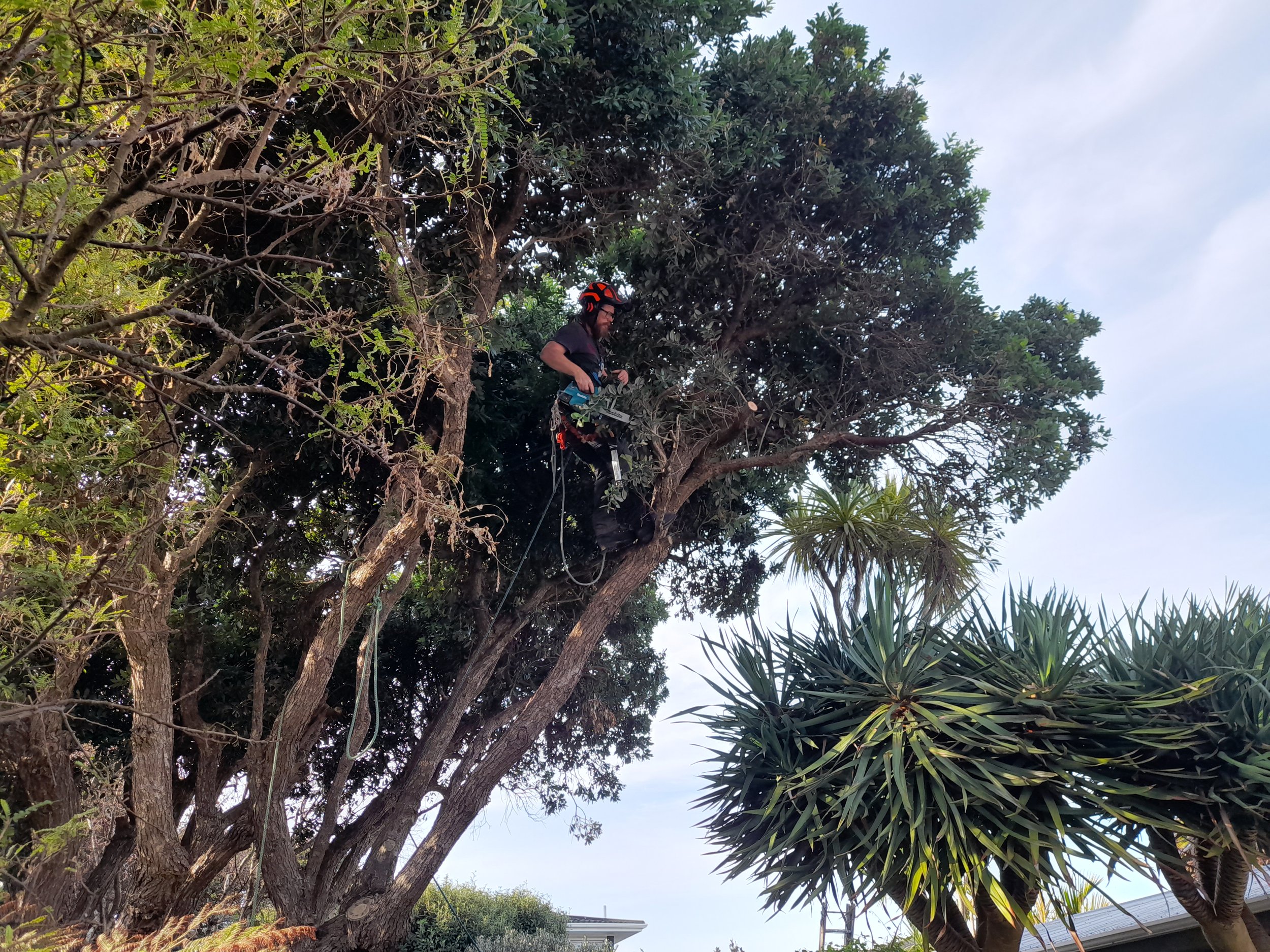 Let’s talk pruning and reduction
