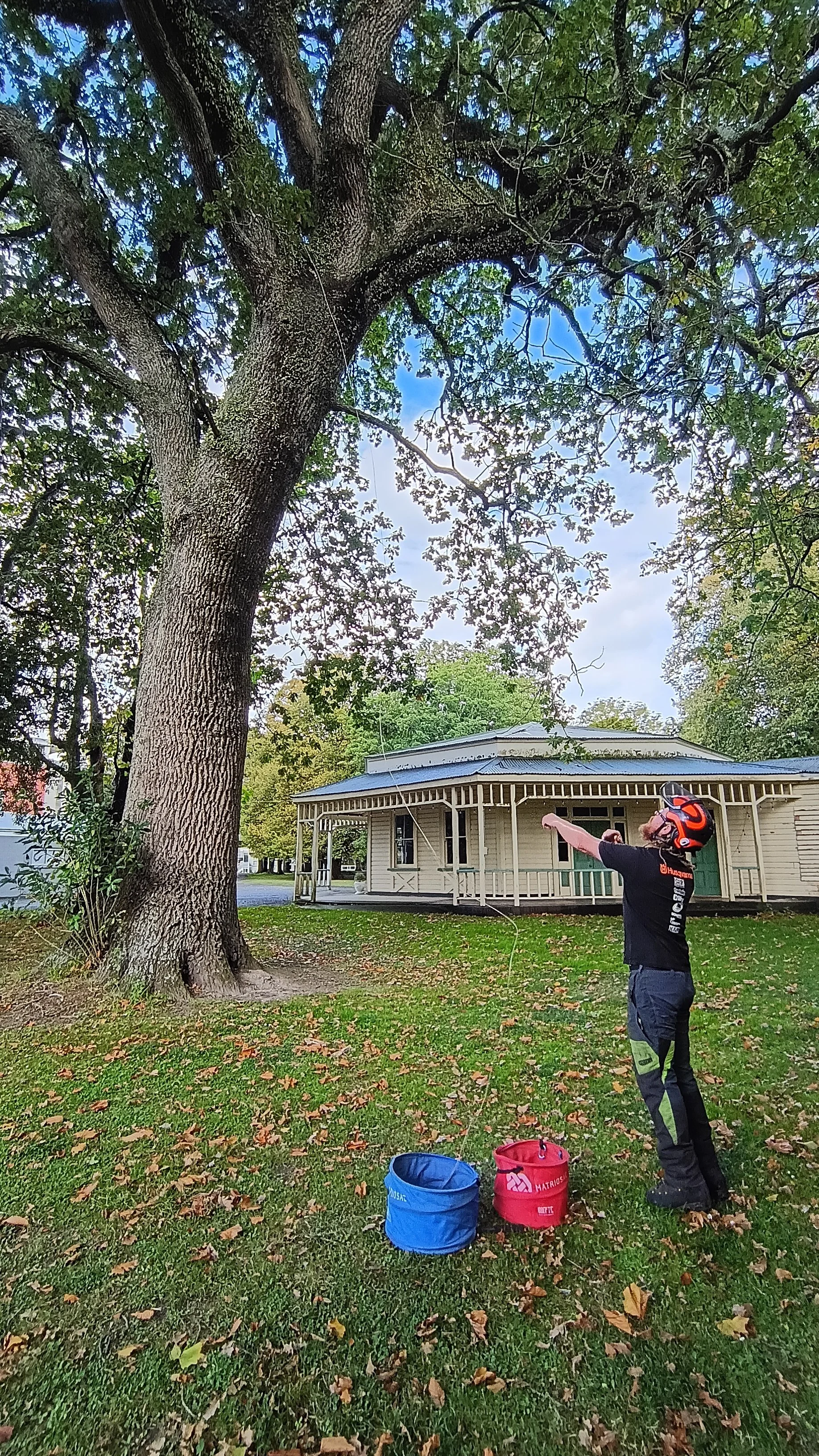 Reaching the Canopy