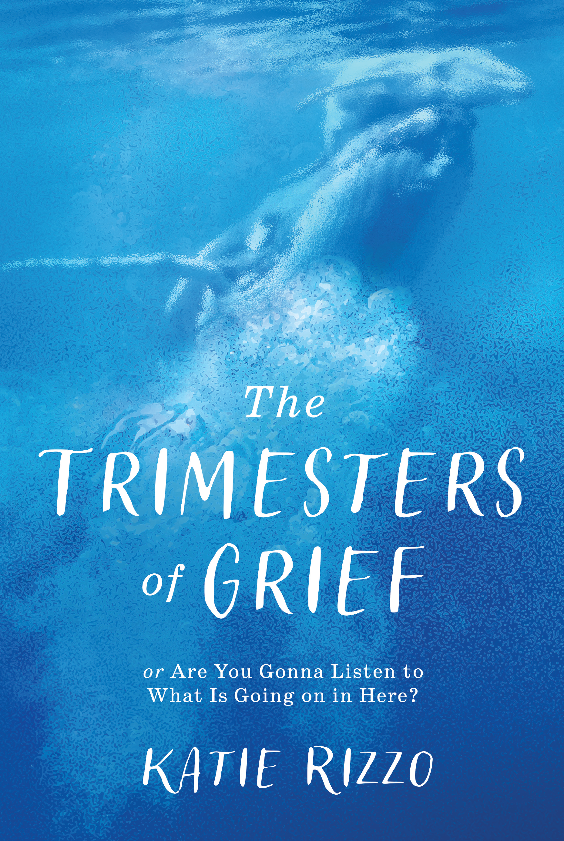 Book cover for the Trimesters of Grief by Katie Rizzo