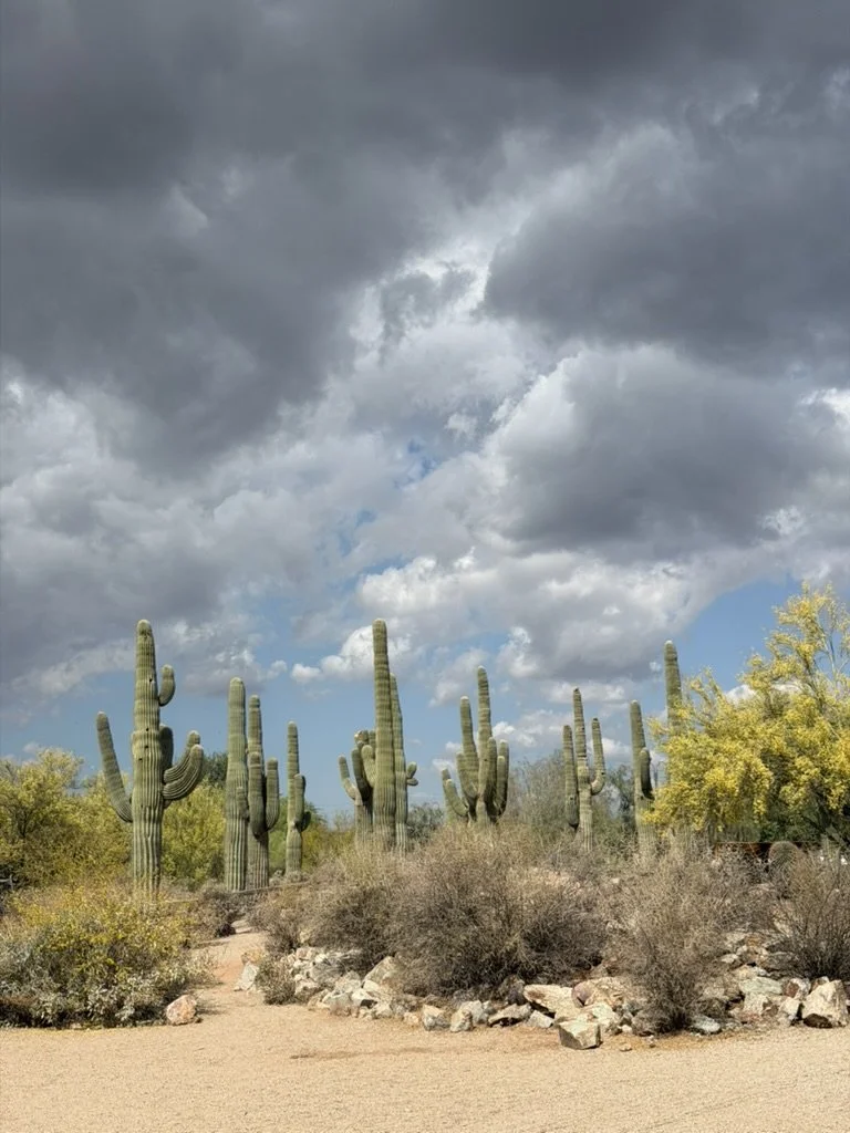 Allegedly Dead - Now There Are 2. 