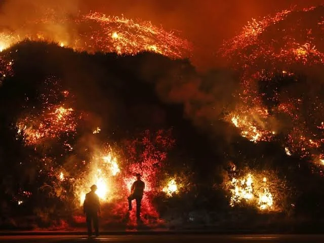Wild Fire.jpg