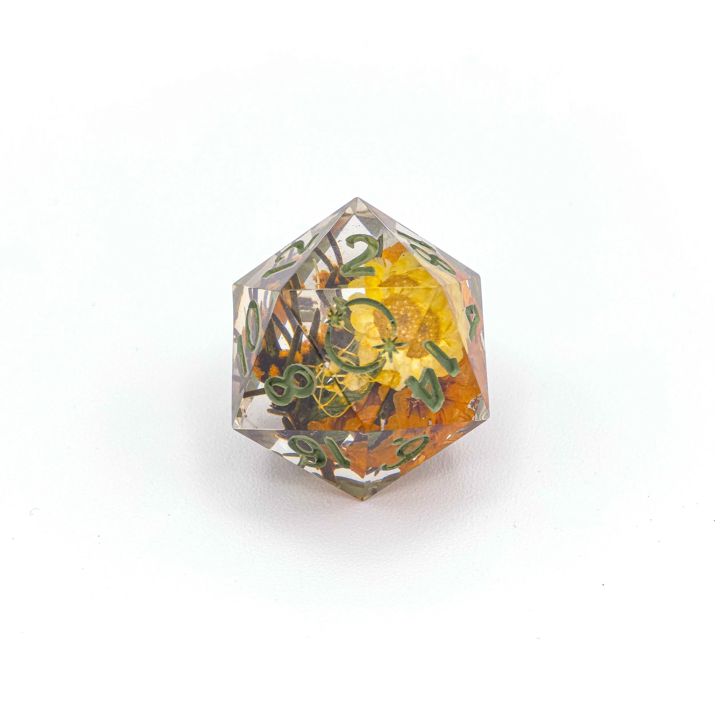 Untitled Design | D20