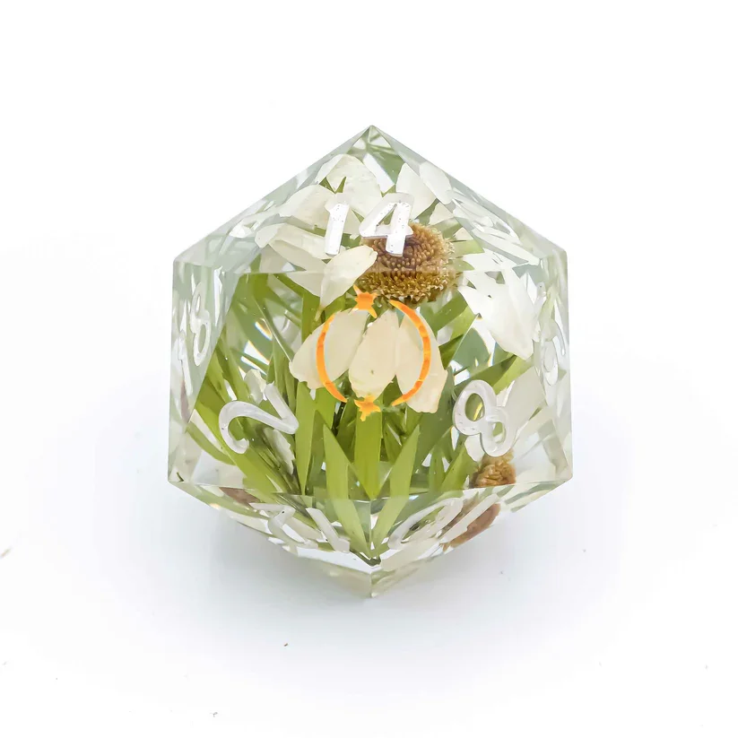 Daisy Field Chonk D20