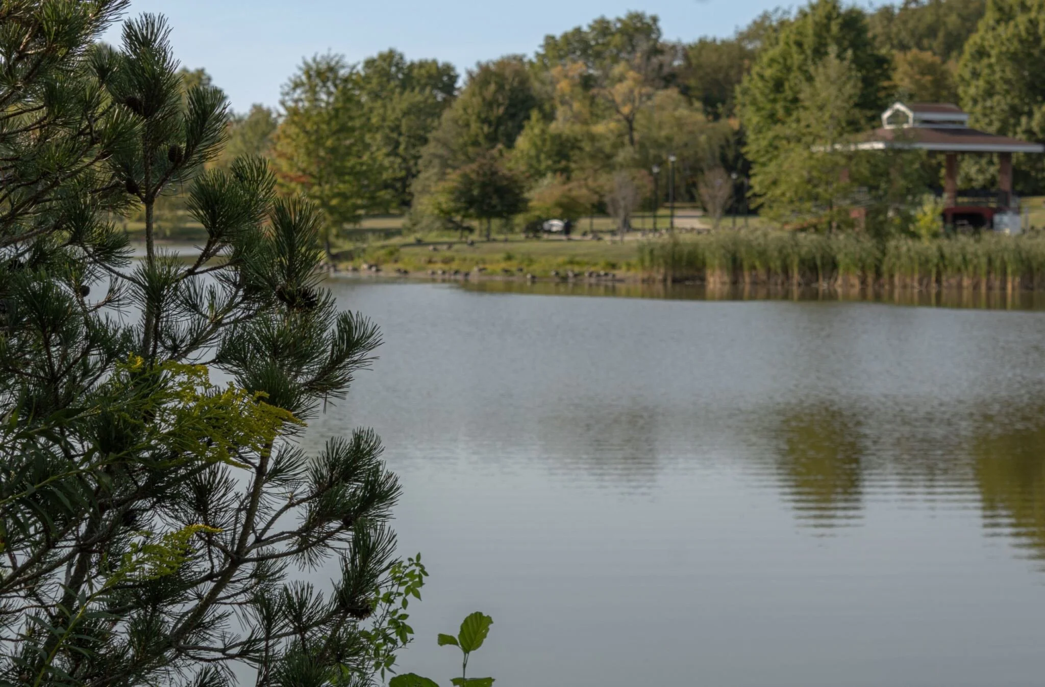 c42d79ee-fb70-44fb-9ae9-25791c4afa09 copy.jpg