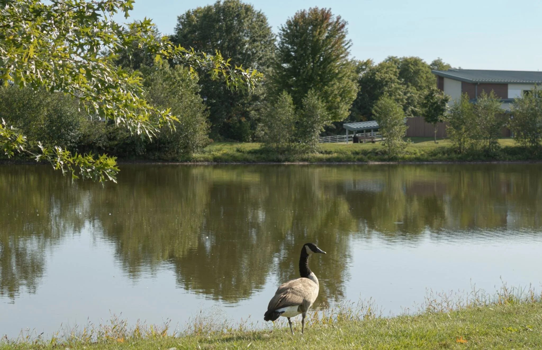 b11b635e-fbec-441b-90a8-e36adc694c59 copy.jpg