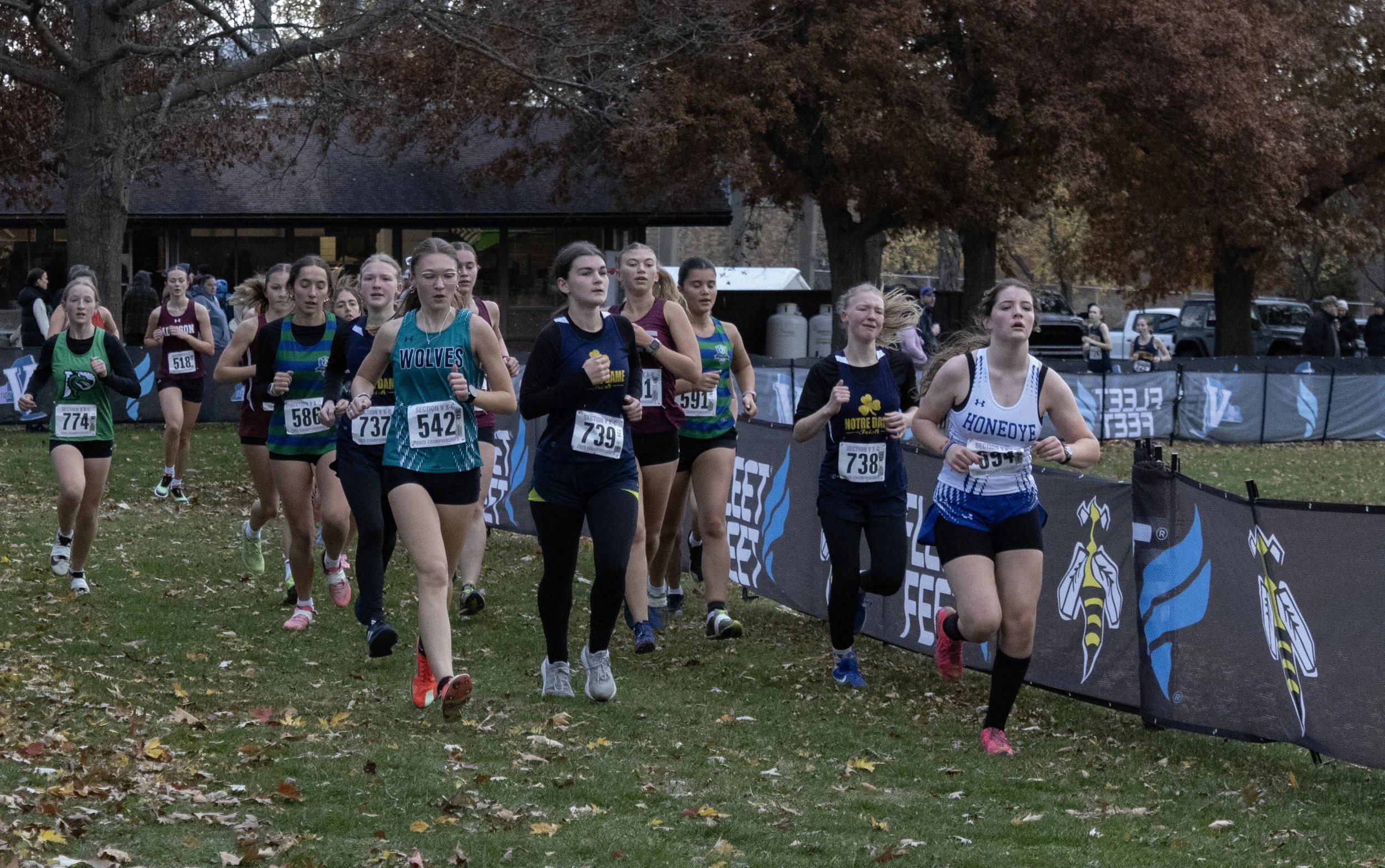 IMG_5924 copy.jpg