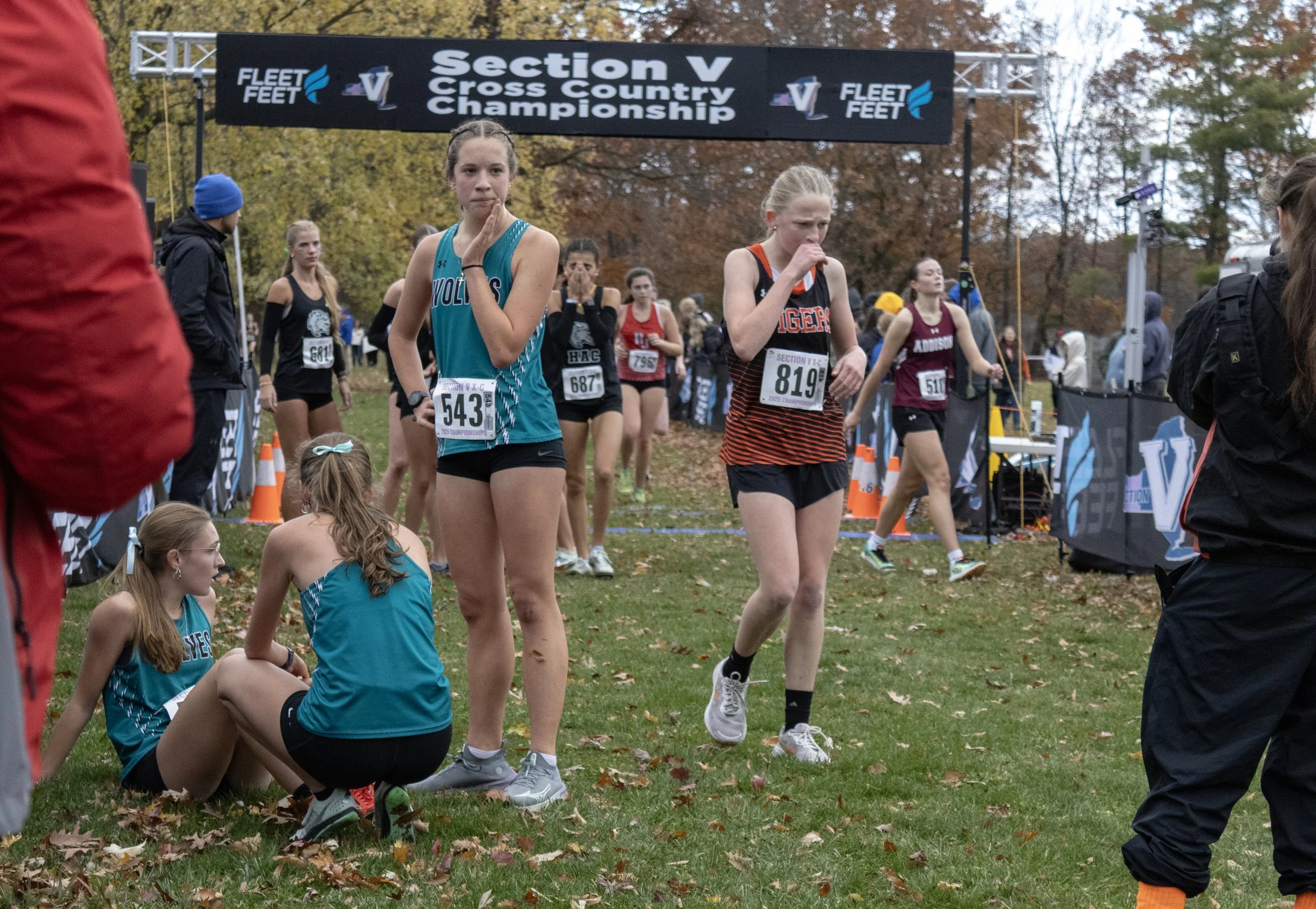 IMG_6093 copy.jpg