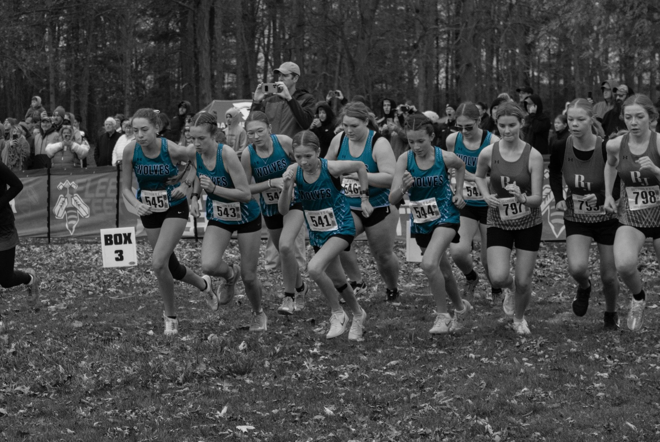 IMG_5877 copy2.jpg