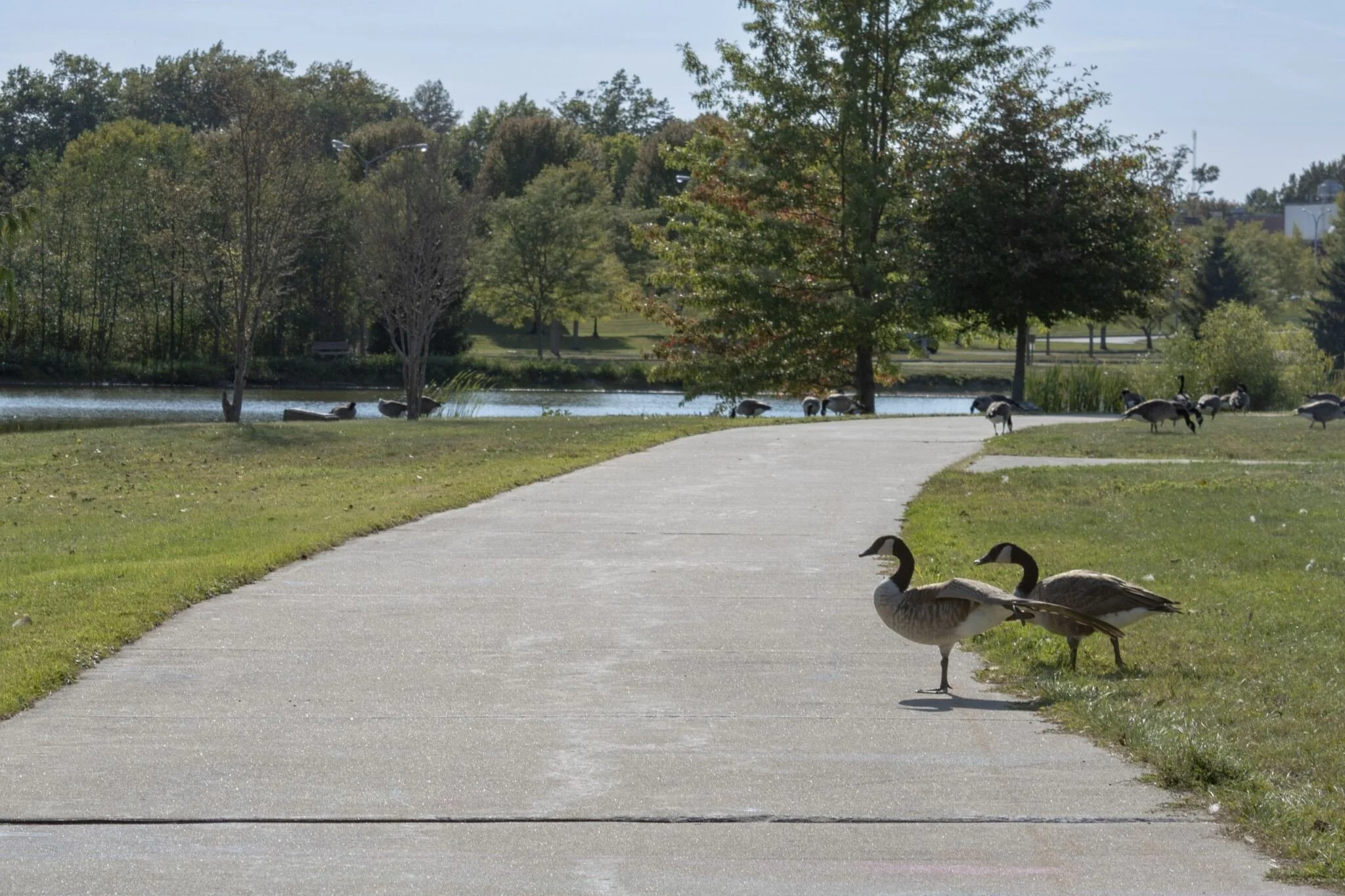 9b6297aa-546d-4b96-b26e-2bbf8caf8a8f copy.jpg