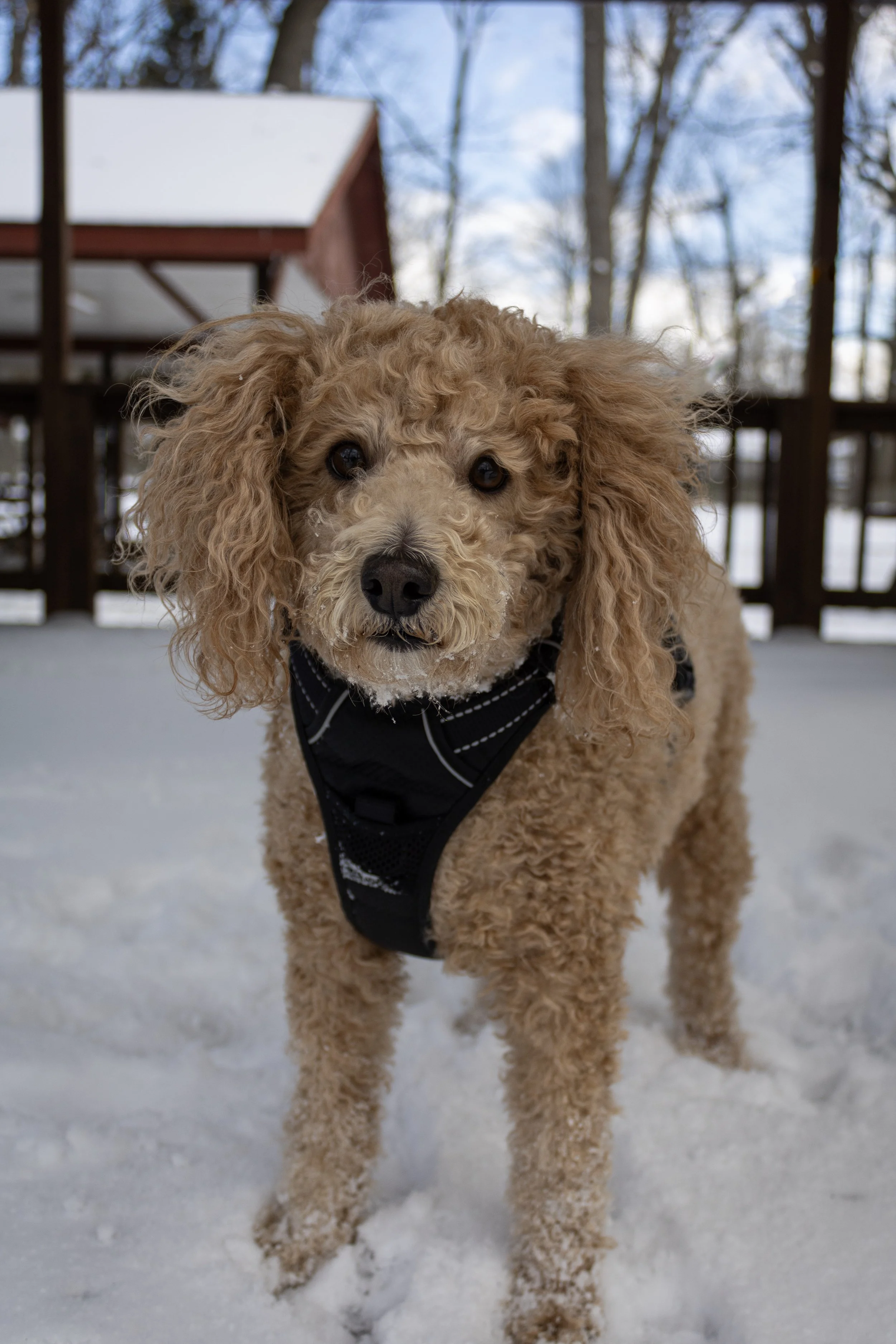 IMG_6552 copy 2.jpeg