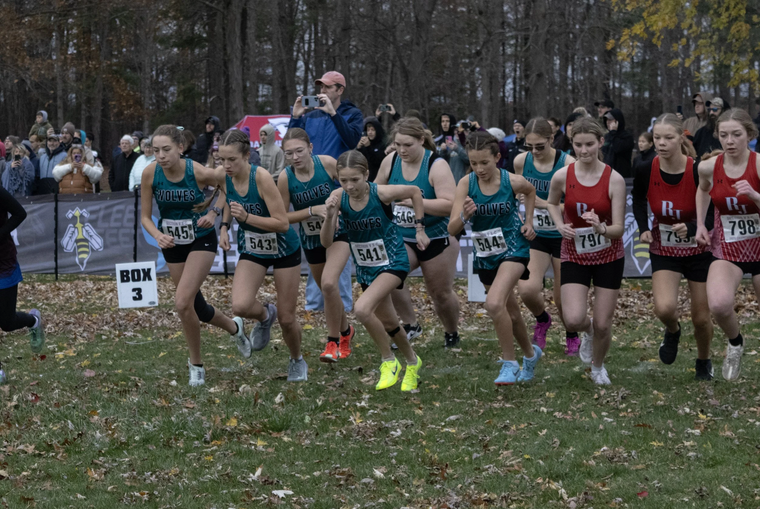 IMG_5877 copy.jpg